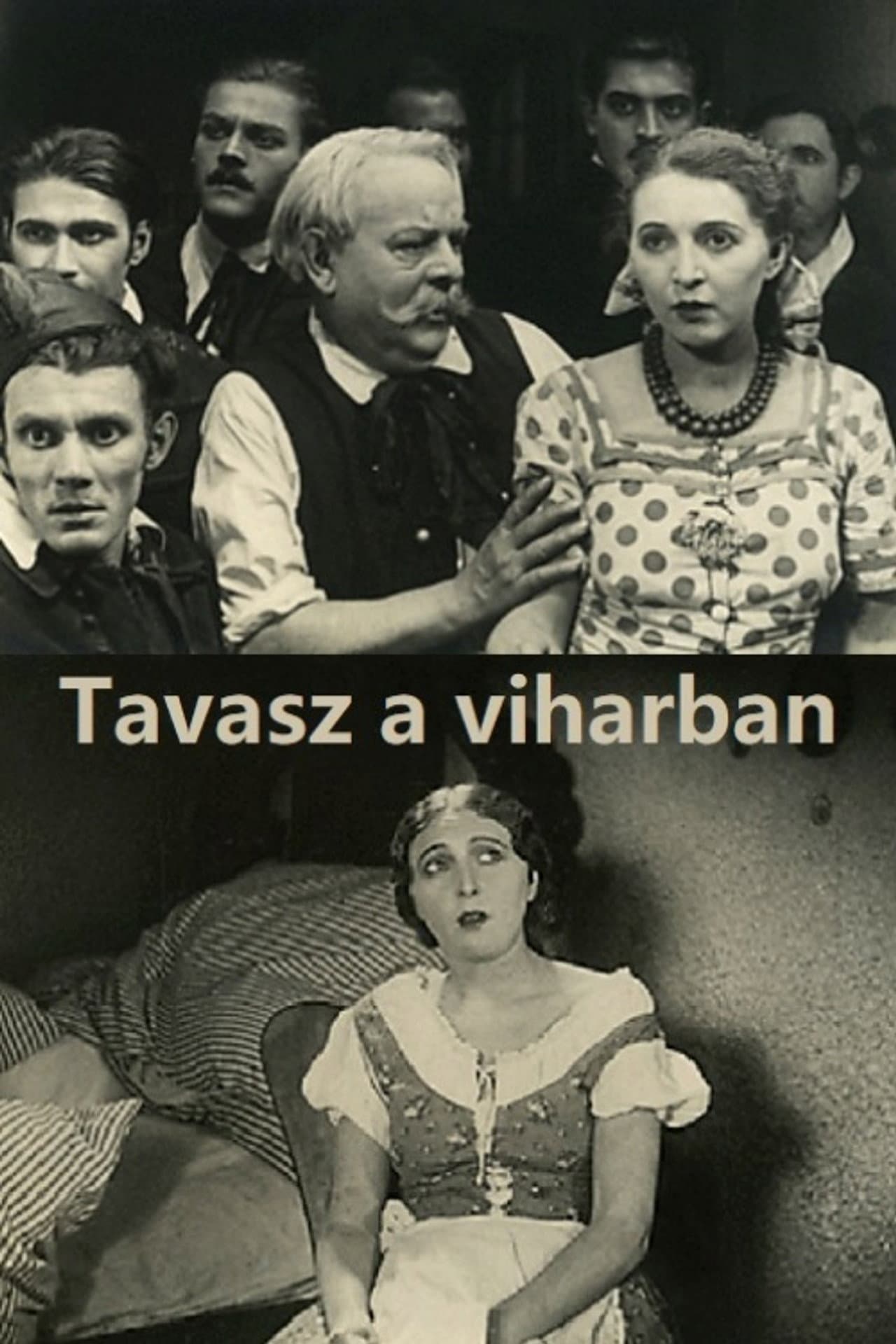 Tavasz a viharban preview 1