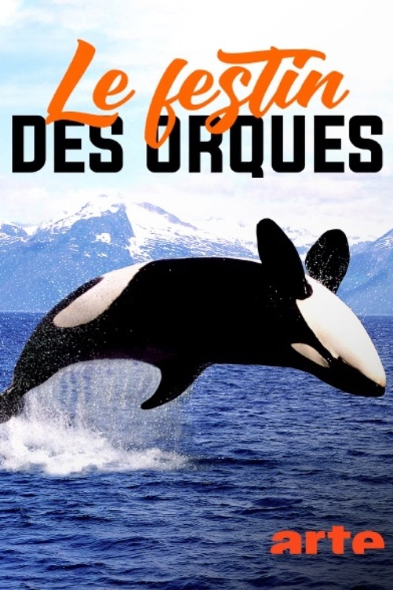 Norvège : le festin des orques preview 2