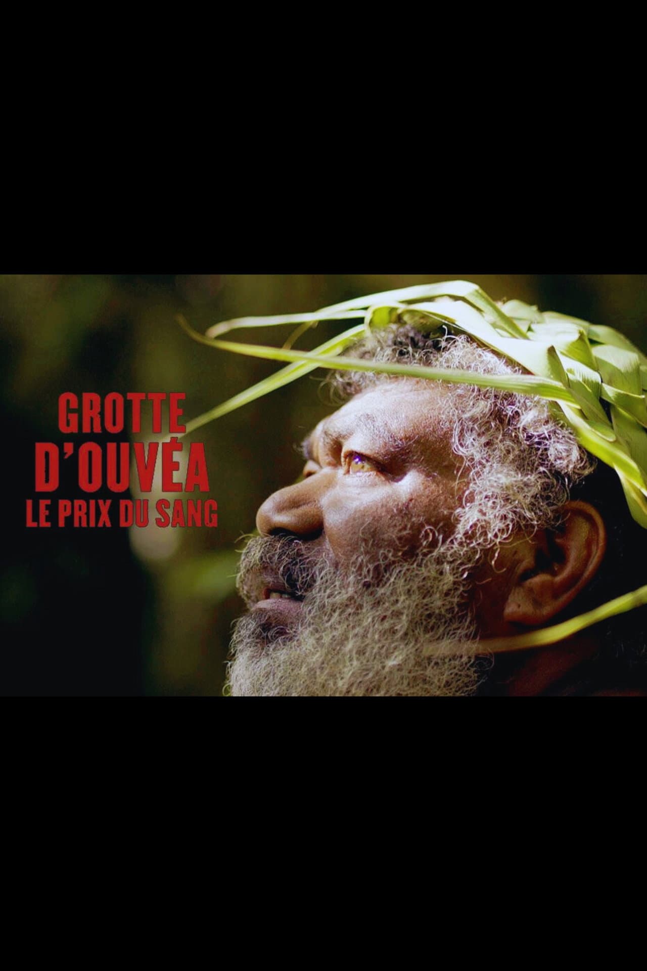 Grotte d'Ouvéa, le prix du sang preview 1