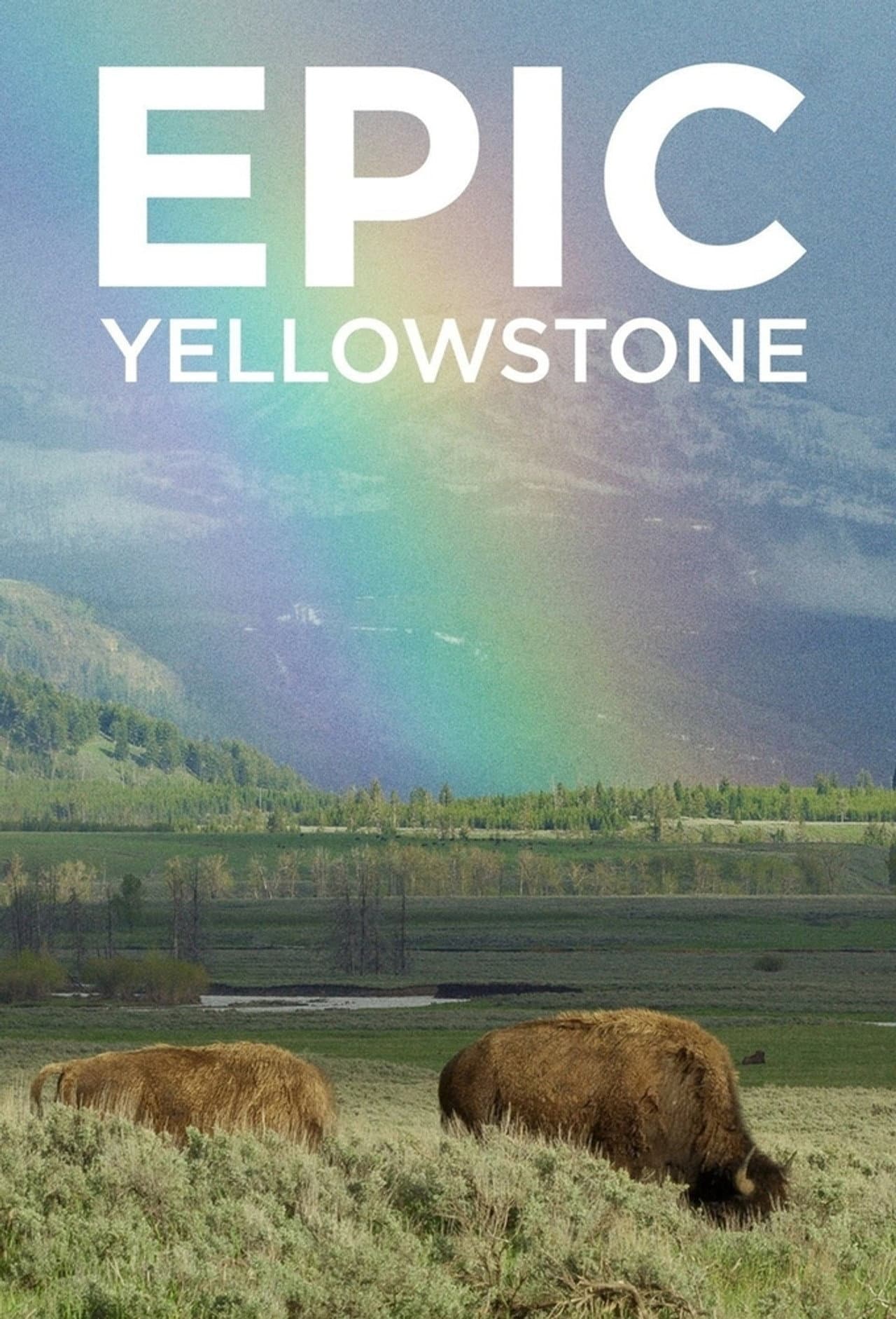 Epic Yellowstone preview 2