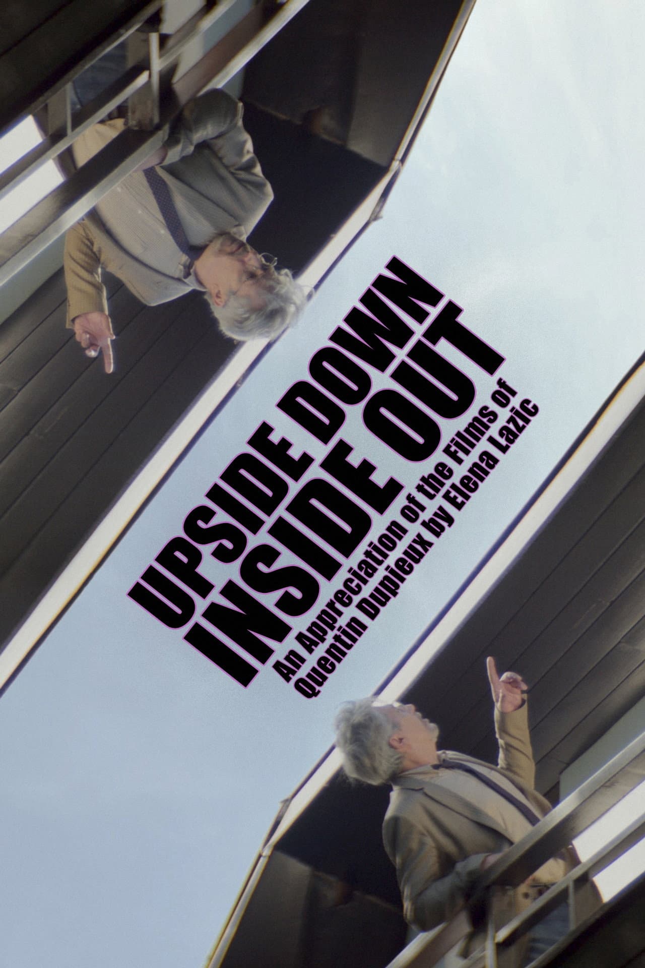 Upside Down, Inside Out: An Appreciation of the Films of Quentin Dupieux by Elena Lazic preview 2