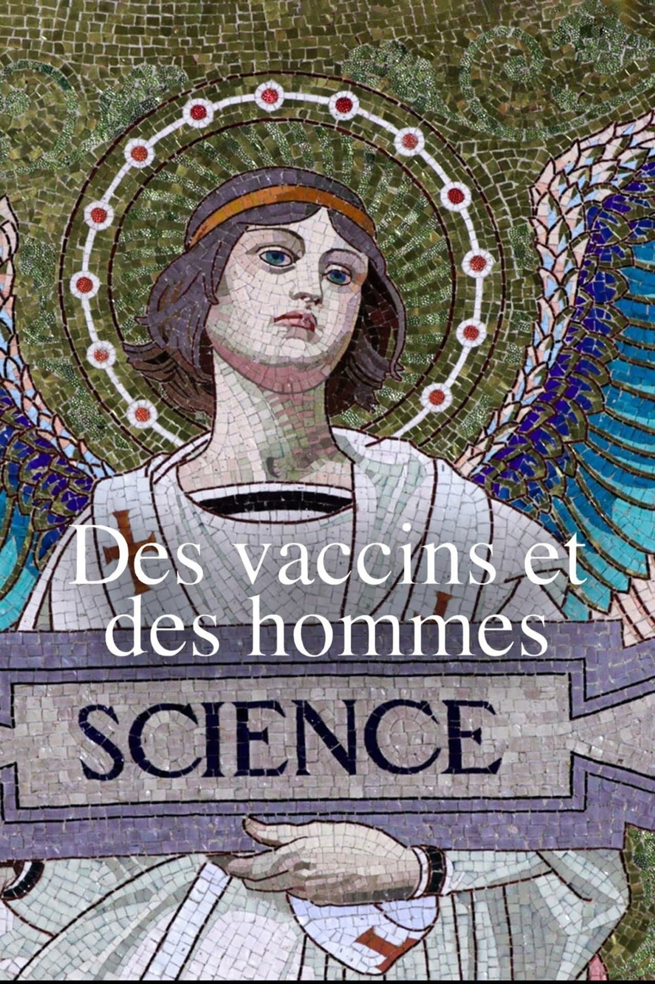 Des vaccins et des hommes preview 1