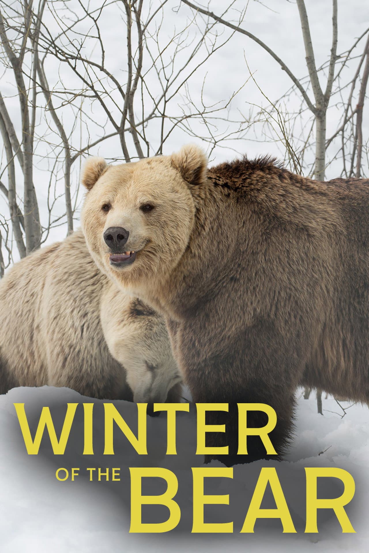 Winter of the Bear preview 2