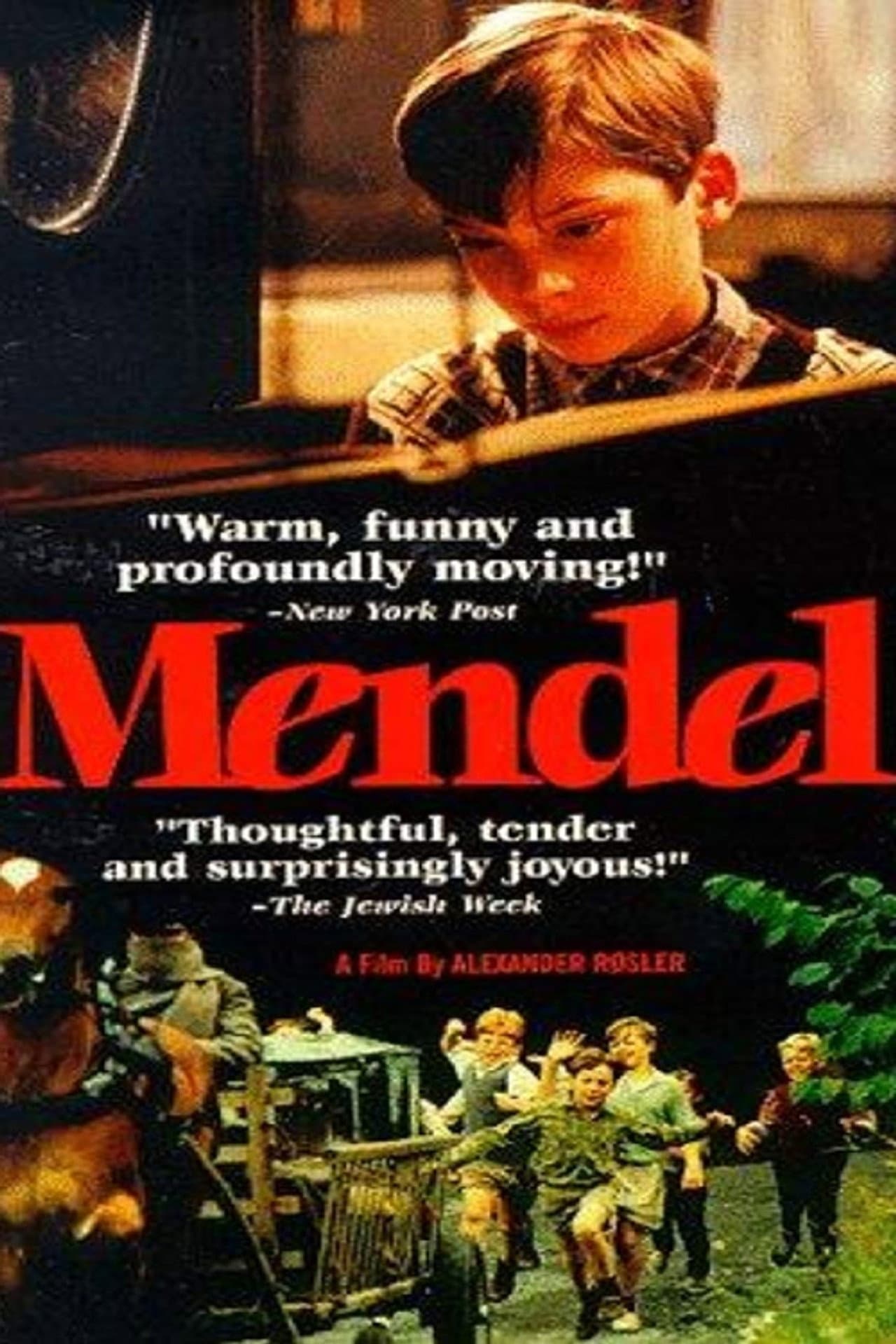 Mendel preview 2