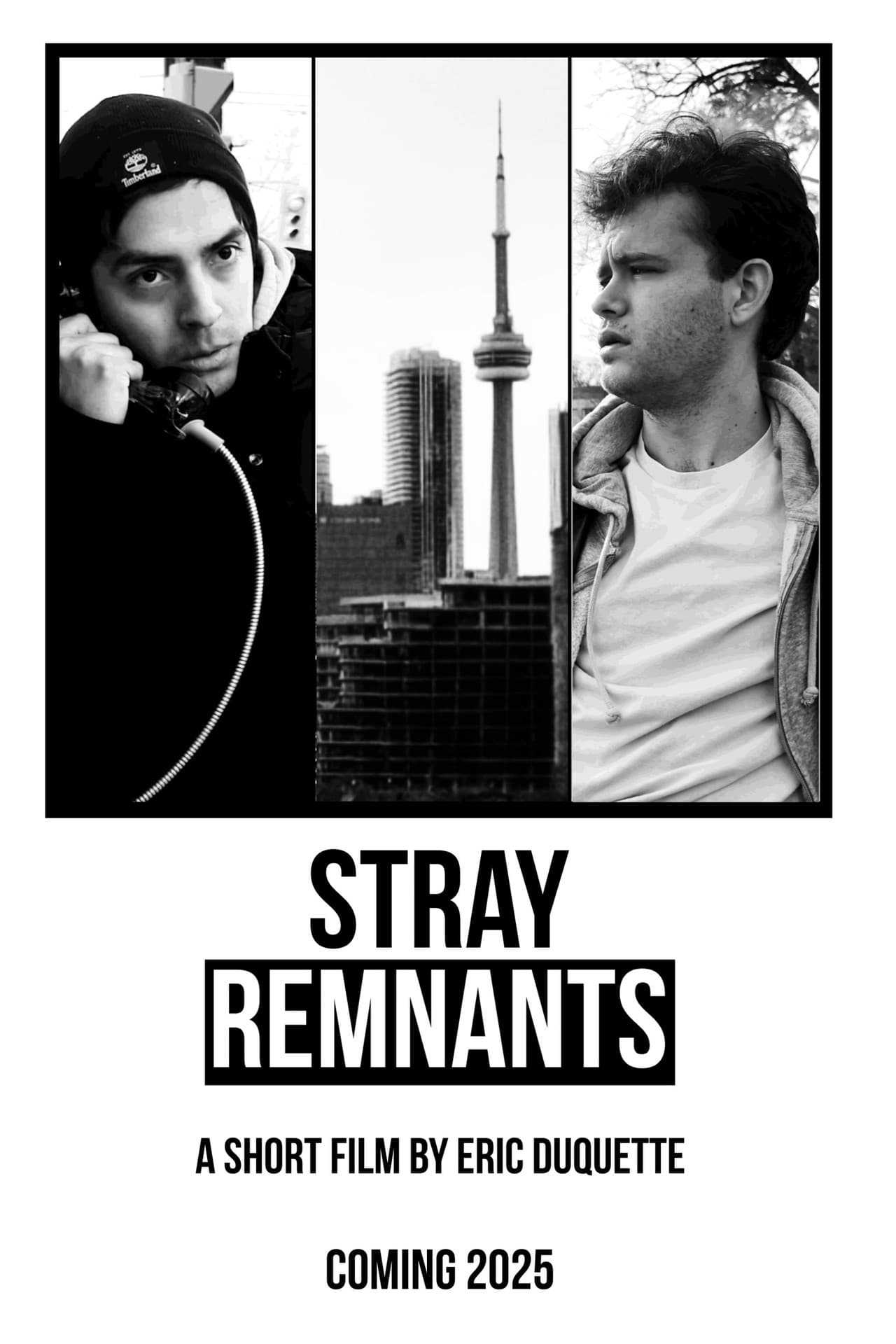 Stray Remnants preview 1