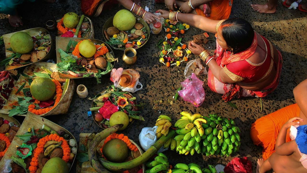 Vegetarians, The Great Odyssey
