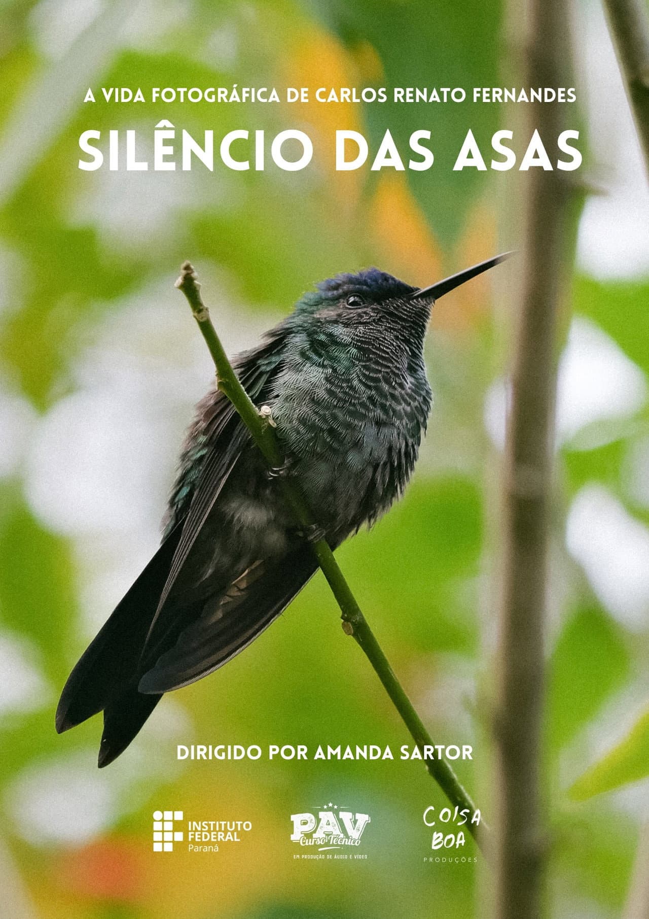 Silêncio das Asas preview 2