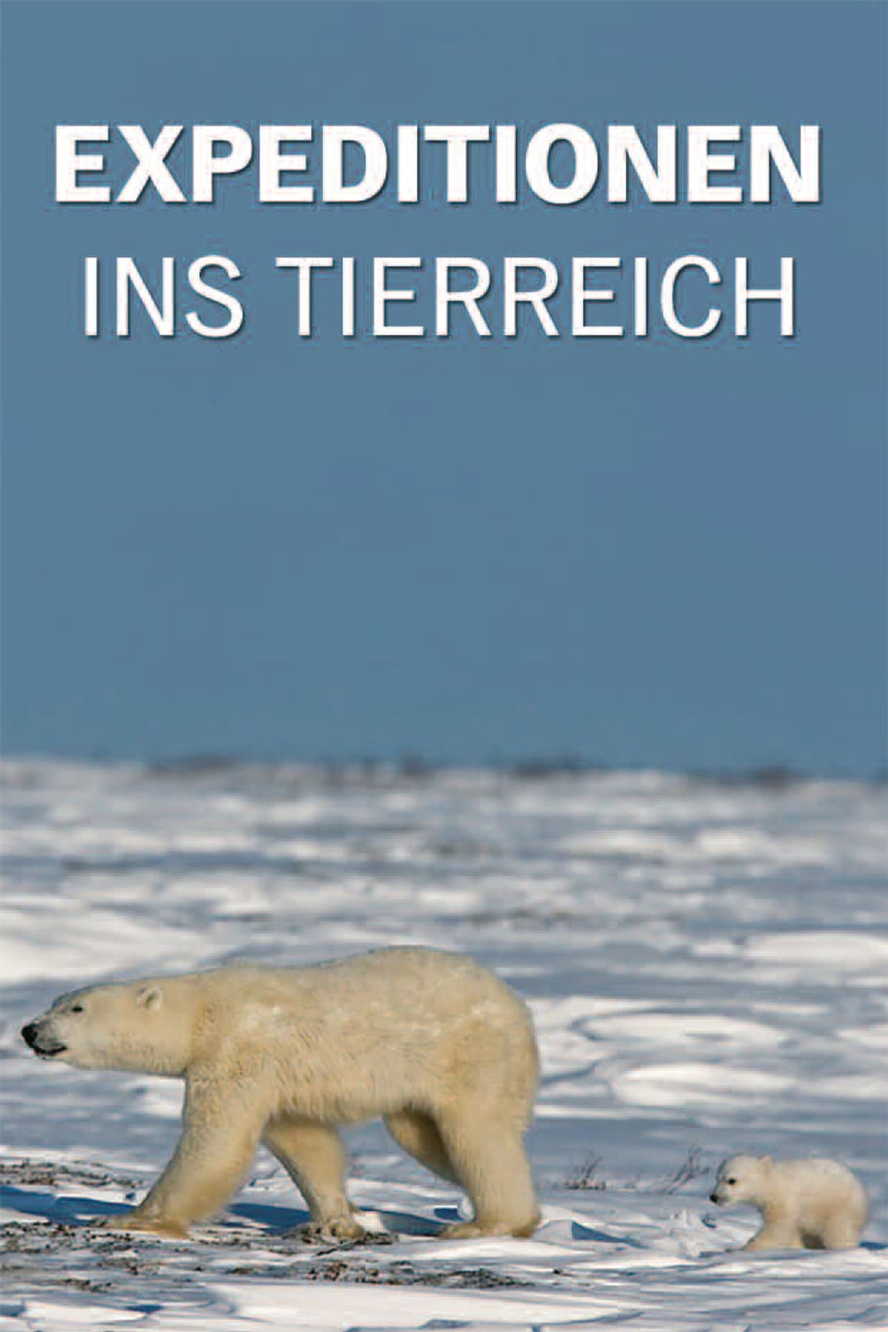 Expeditionen ins Tierreich preview 1