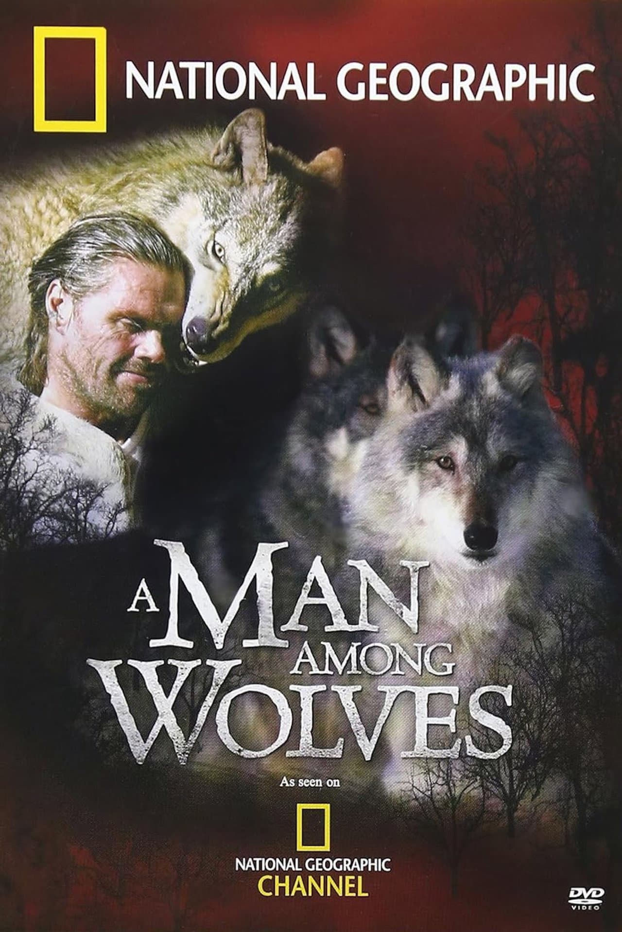 A Man Among Wolves preview 2