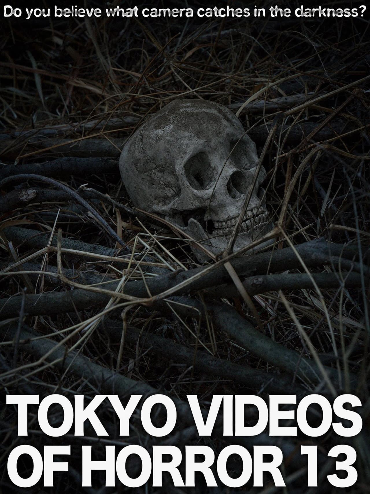 Tokyo Videos of Horror 13 preview 1