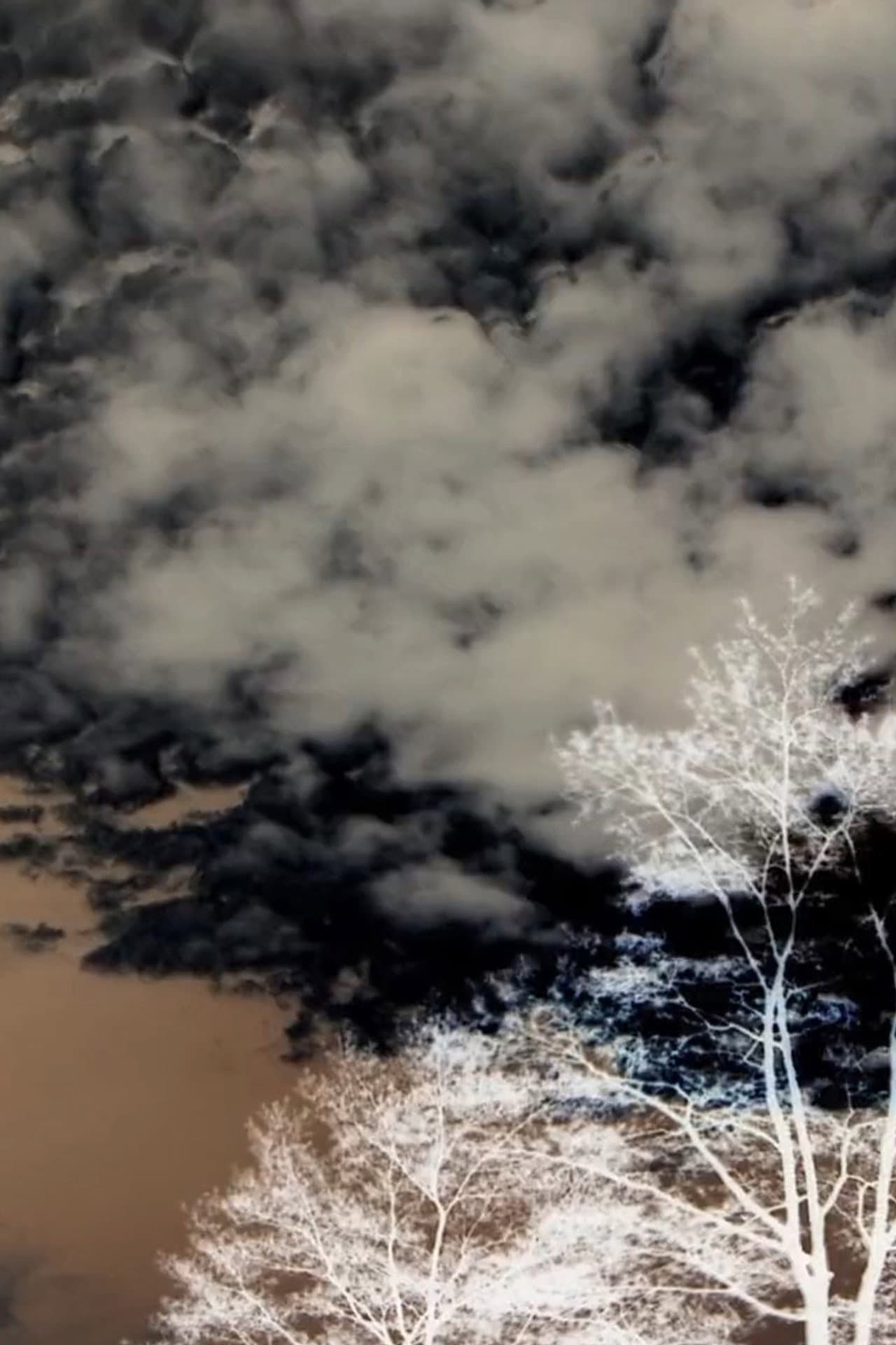 Clouds and Trees preview 2