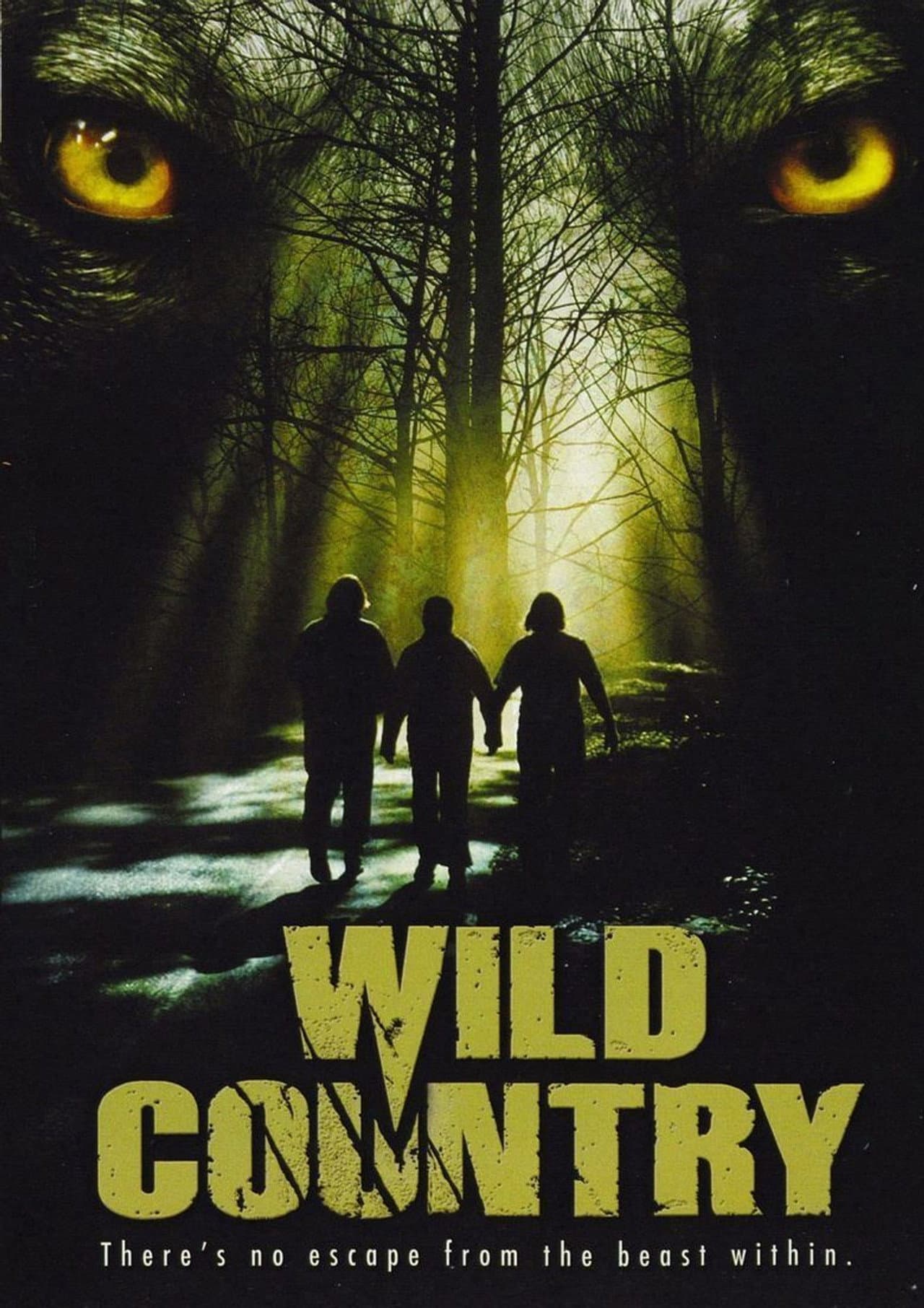Wild Country preview 2