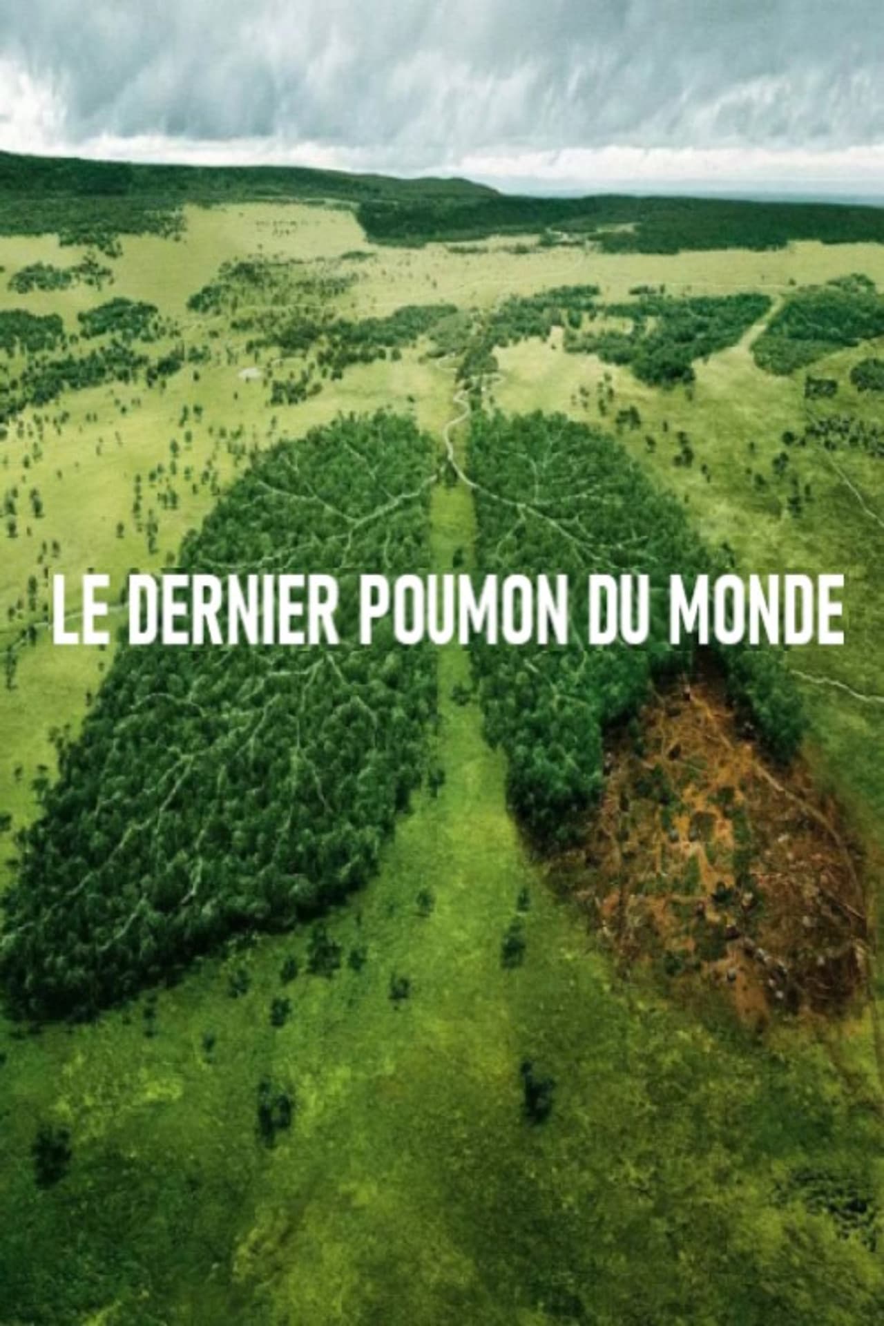 Le dernier poumon du monde preview 2