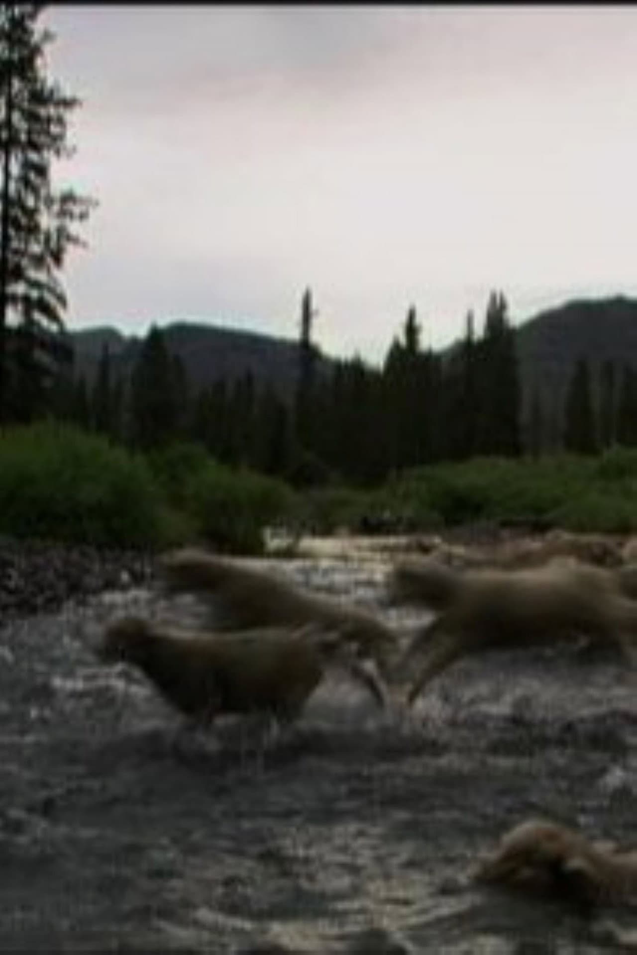 Hell Roaring Creek preview 2