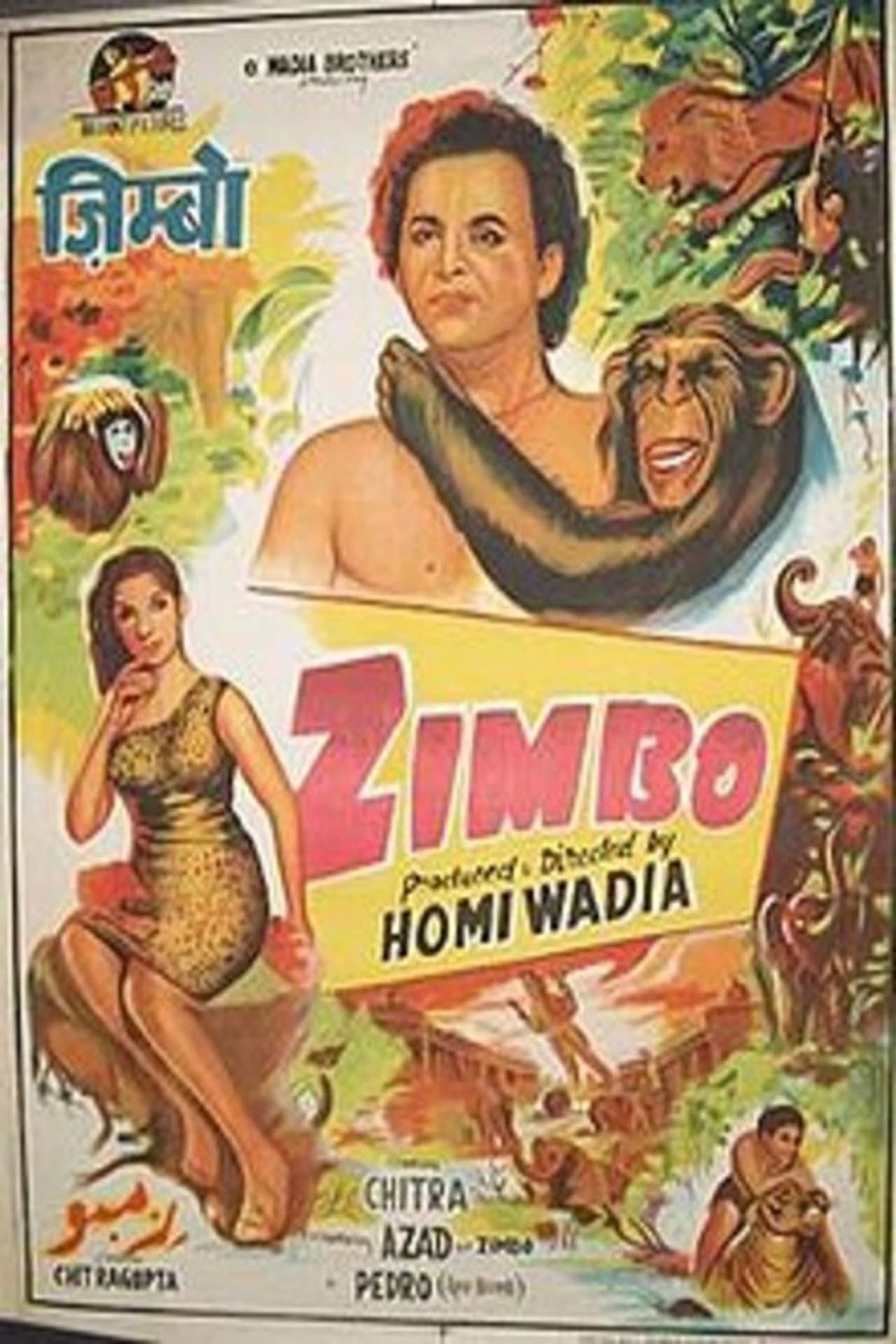 Zimbo preview 2