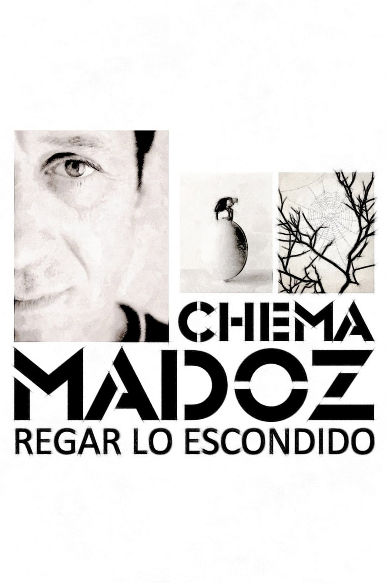 Chema Madoz: regar lo escondido preview 2