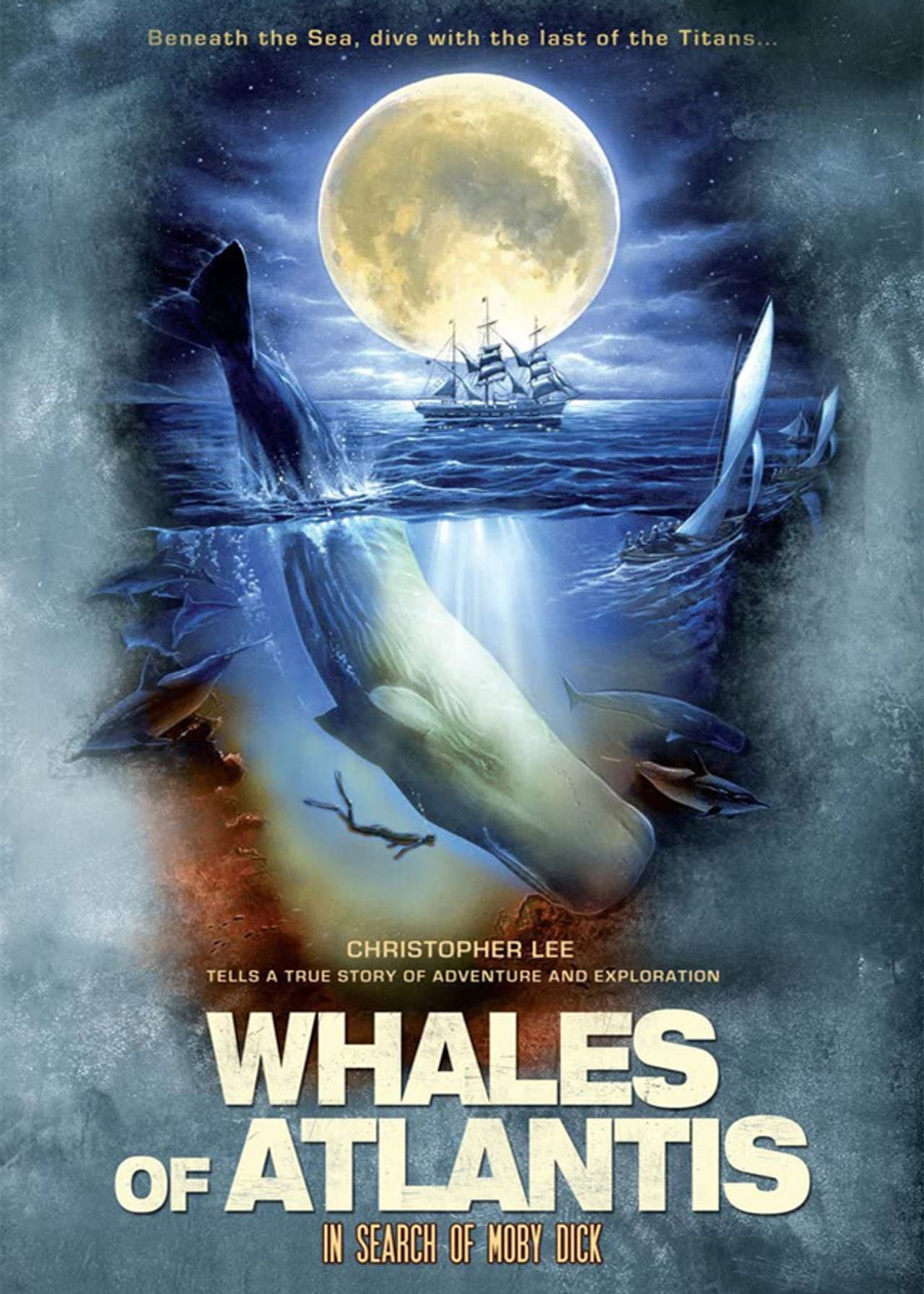 Whales of Atlantis: In Search of Moby Dick preview 1