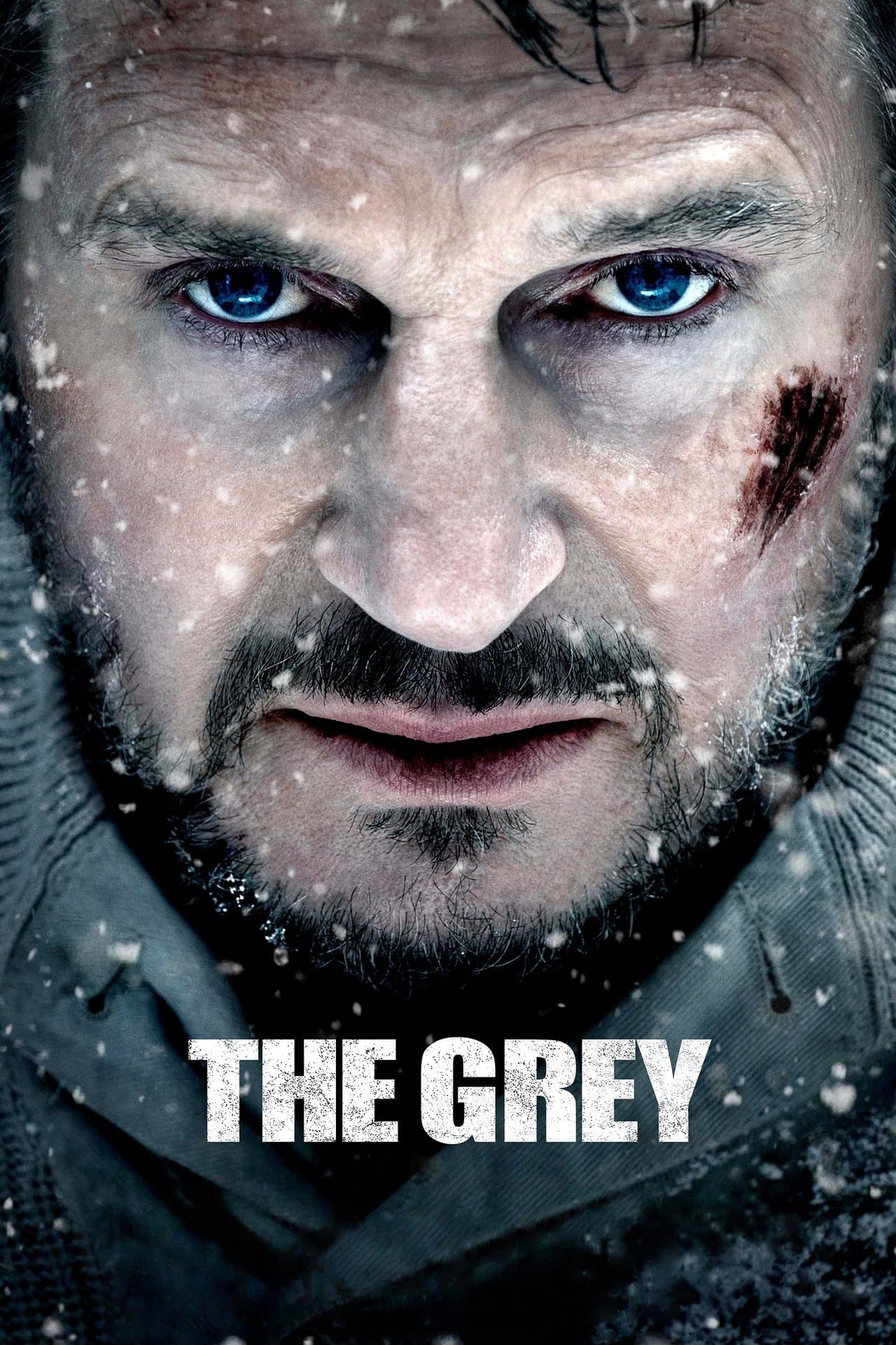 The Grey preview 2