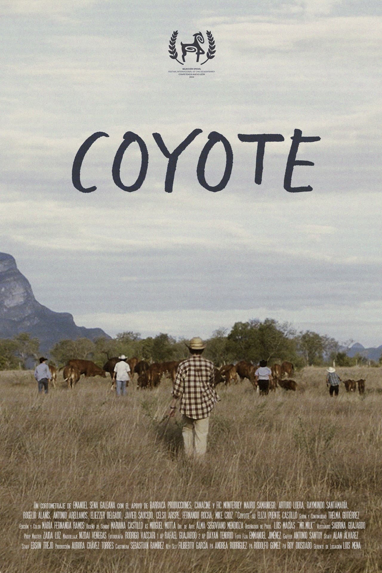 Coyote preview 2