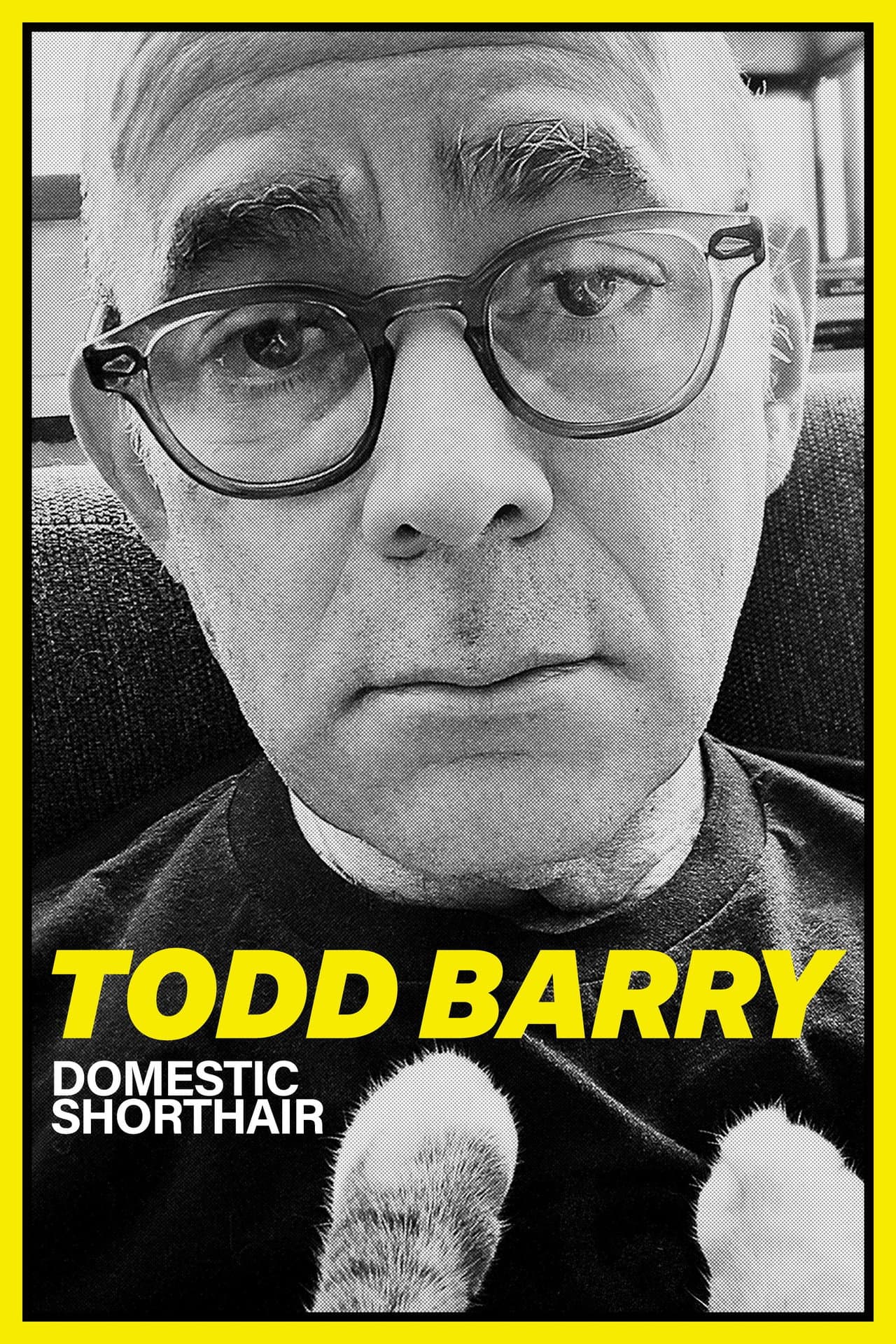 Todd Barry: Domestic Shorthair preview 2
