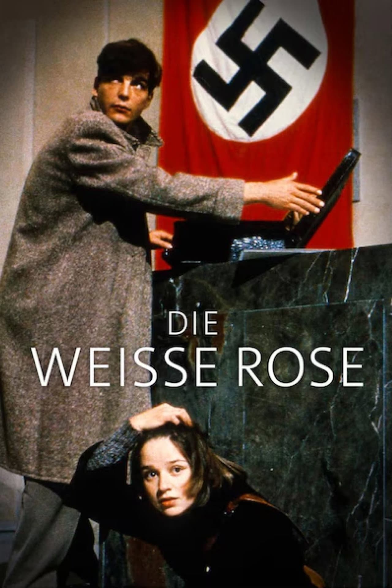 The White Rose preview 2