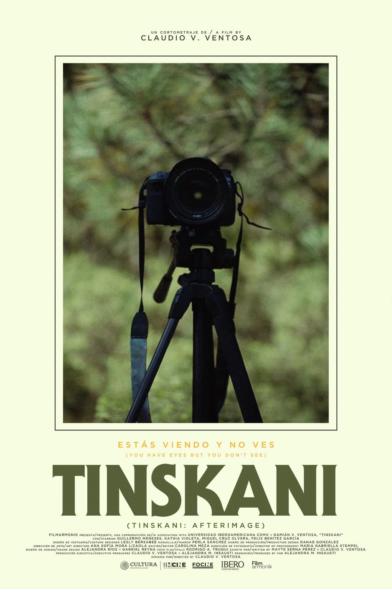 Tinskani: Afterimage preview 2