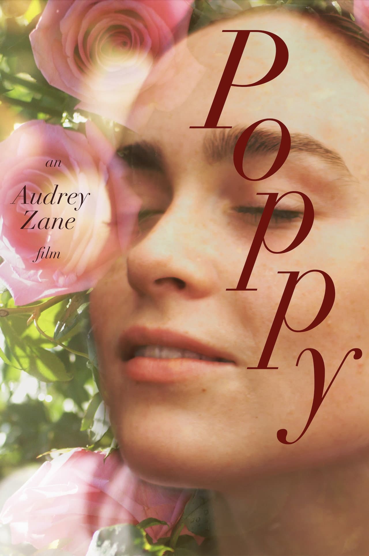 Poppy preview 2