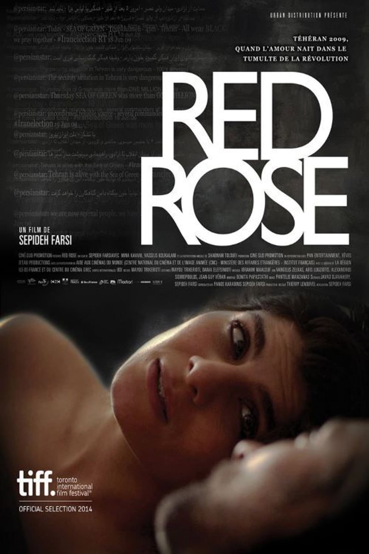 Red Rose preview 2