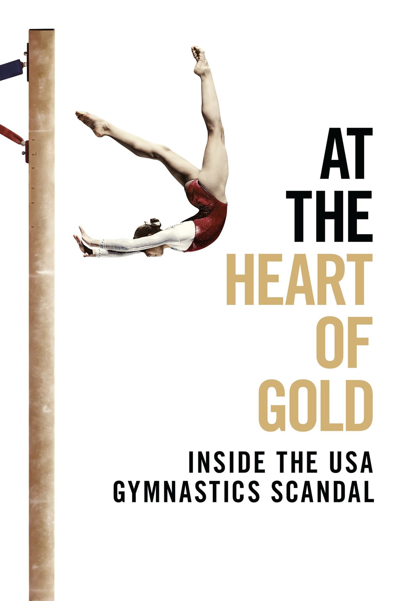 At the Heart of Gold: Inside the USA Gymnastics Scandal preview 2