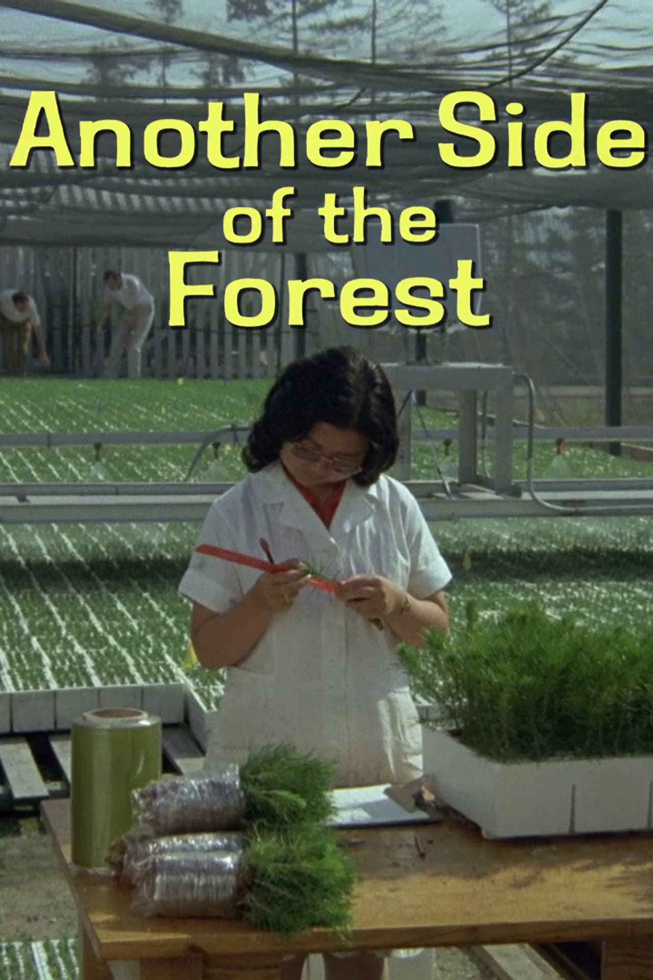 Another Side of the Forest preview 2