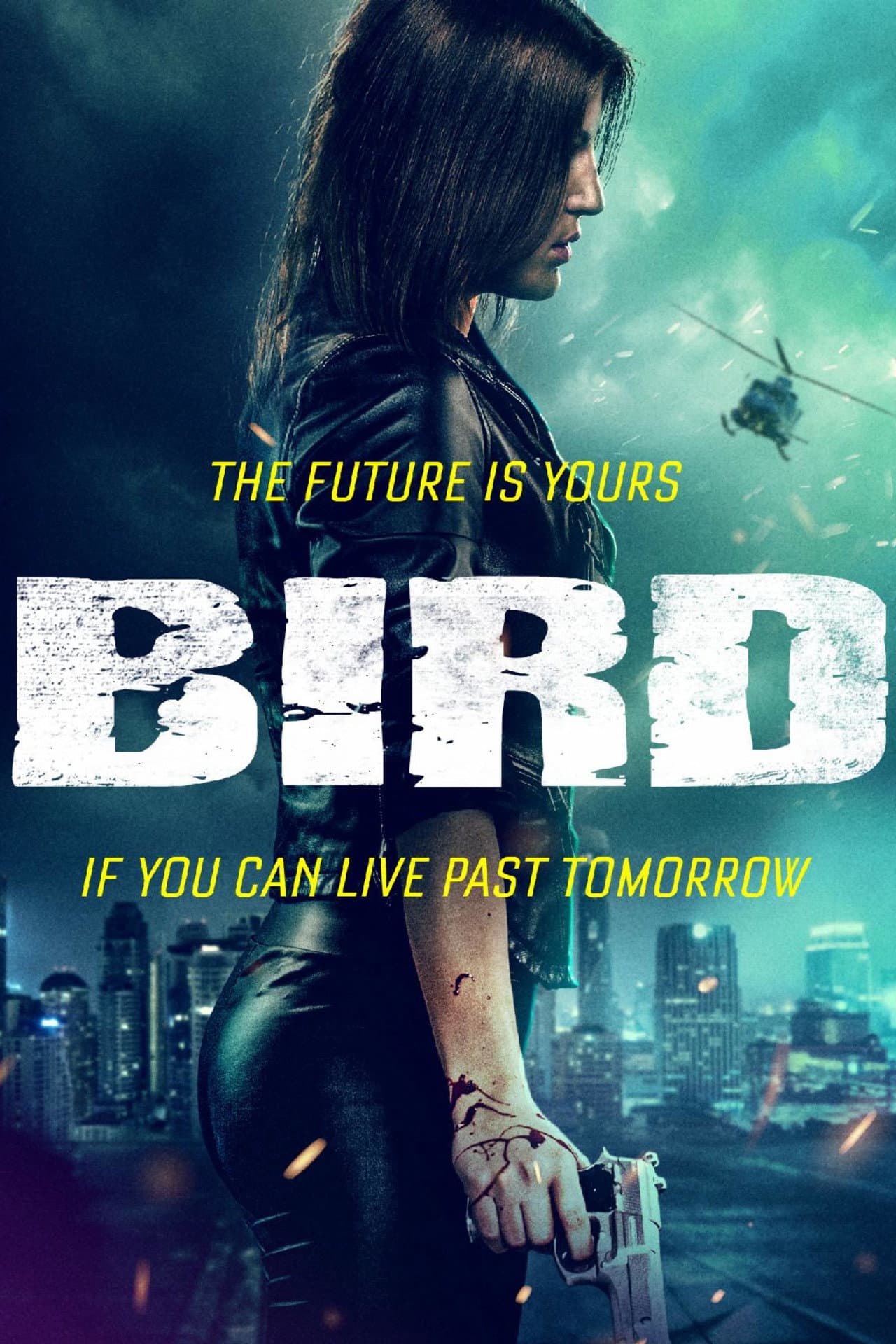 Bird preview 2