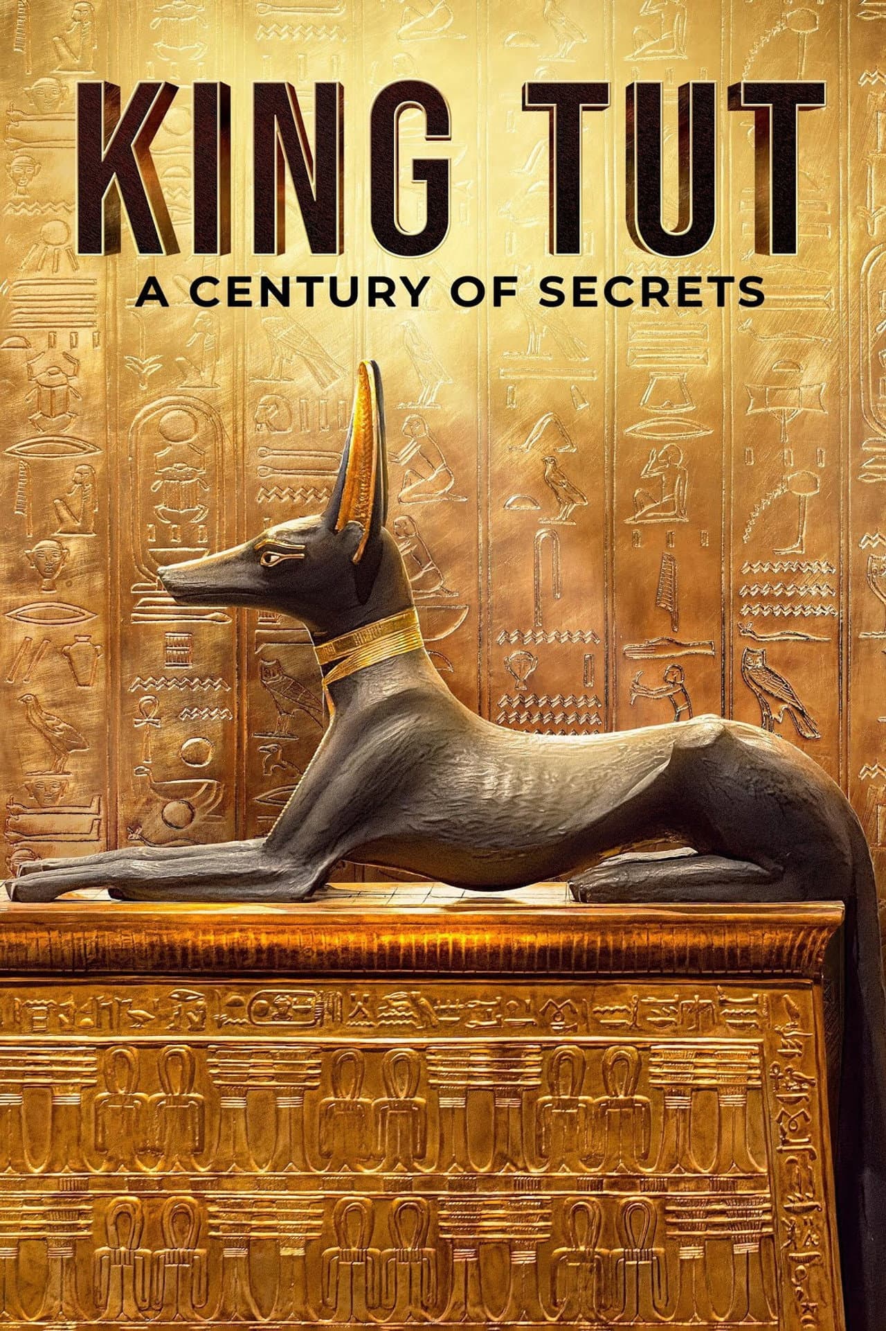King Tut: A Century of Secrets preview 2