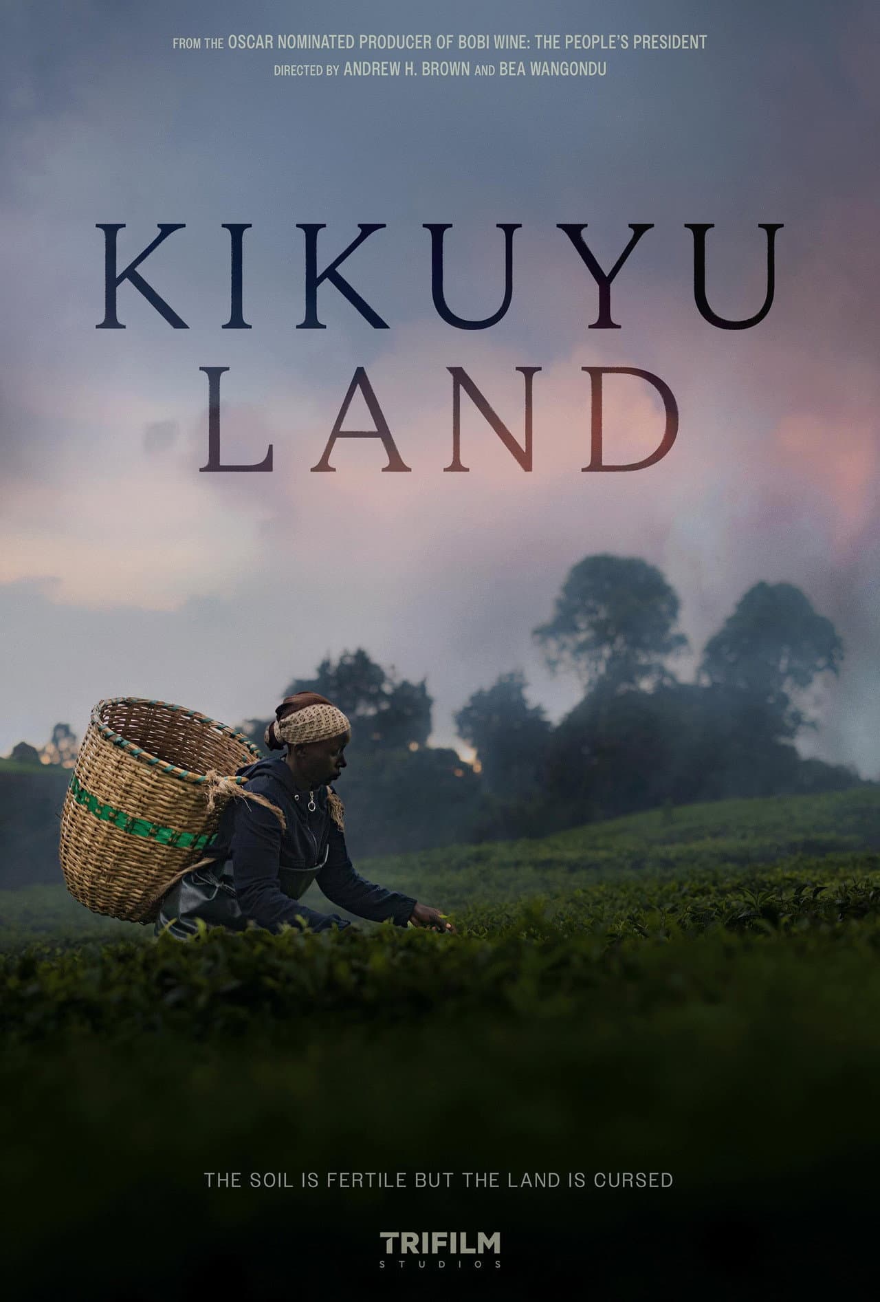 Kikuyu Land preview 2