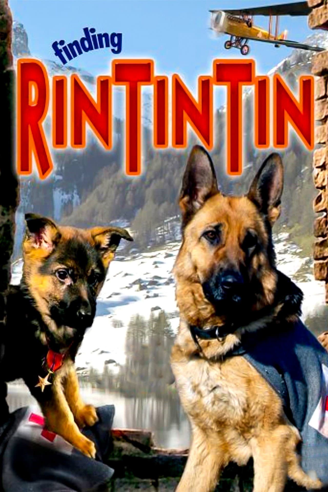 Finding Rin Tin Tin preview 2