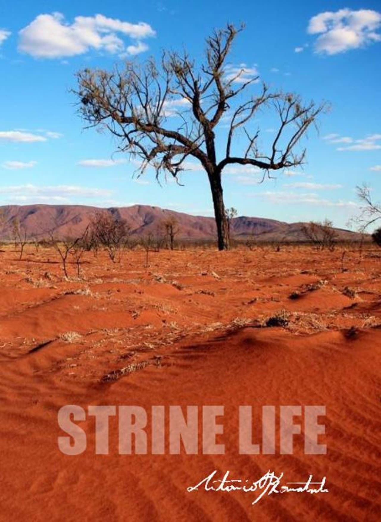 Strine Life preview 1