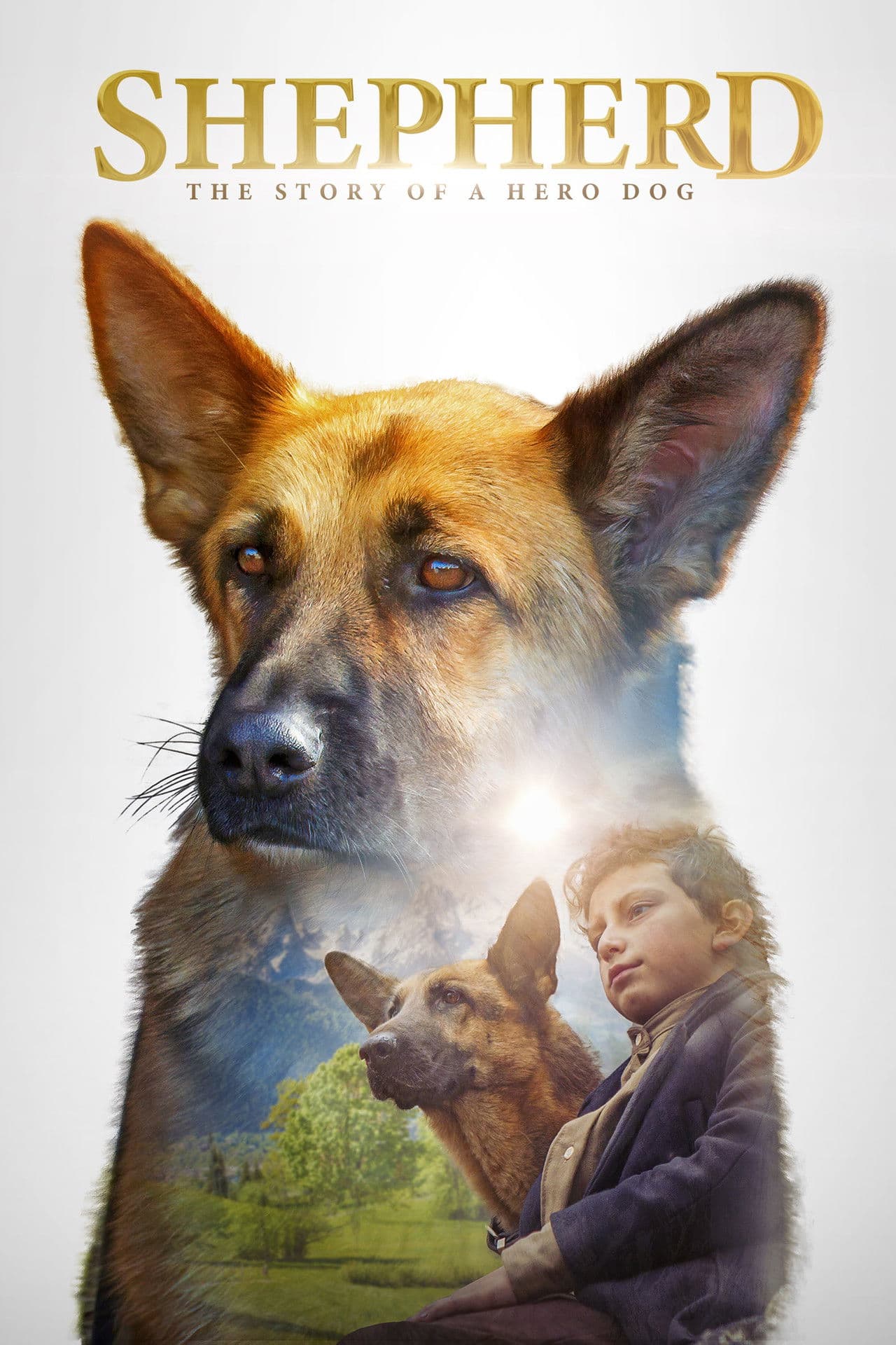 Shepherd: The Story of a Jewish Dog preview 2