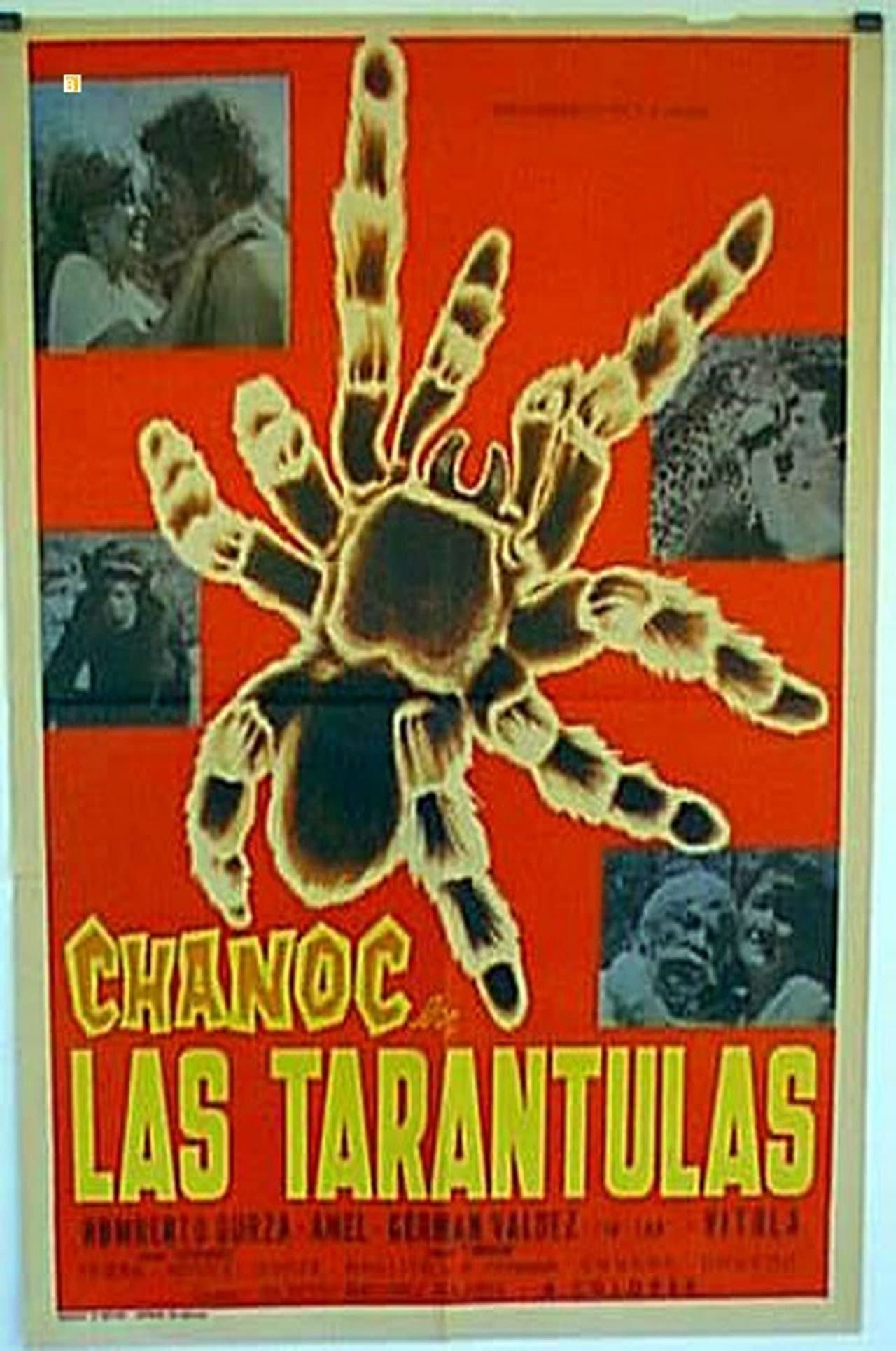 Las tarántulas preview 1