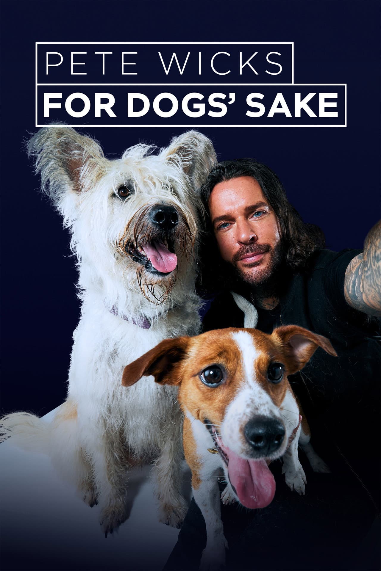 Pete Wicks: For Dogs’ Sake preview 2