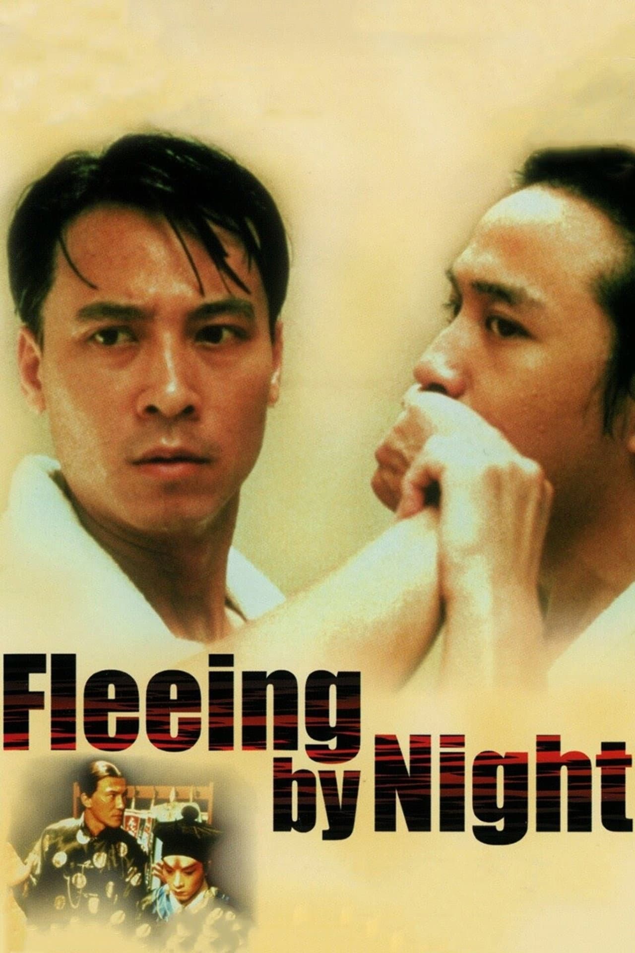 Fleeing by Night preview 2