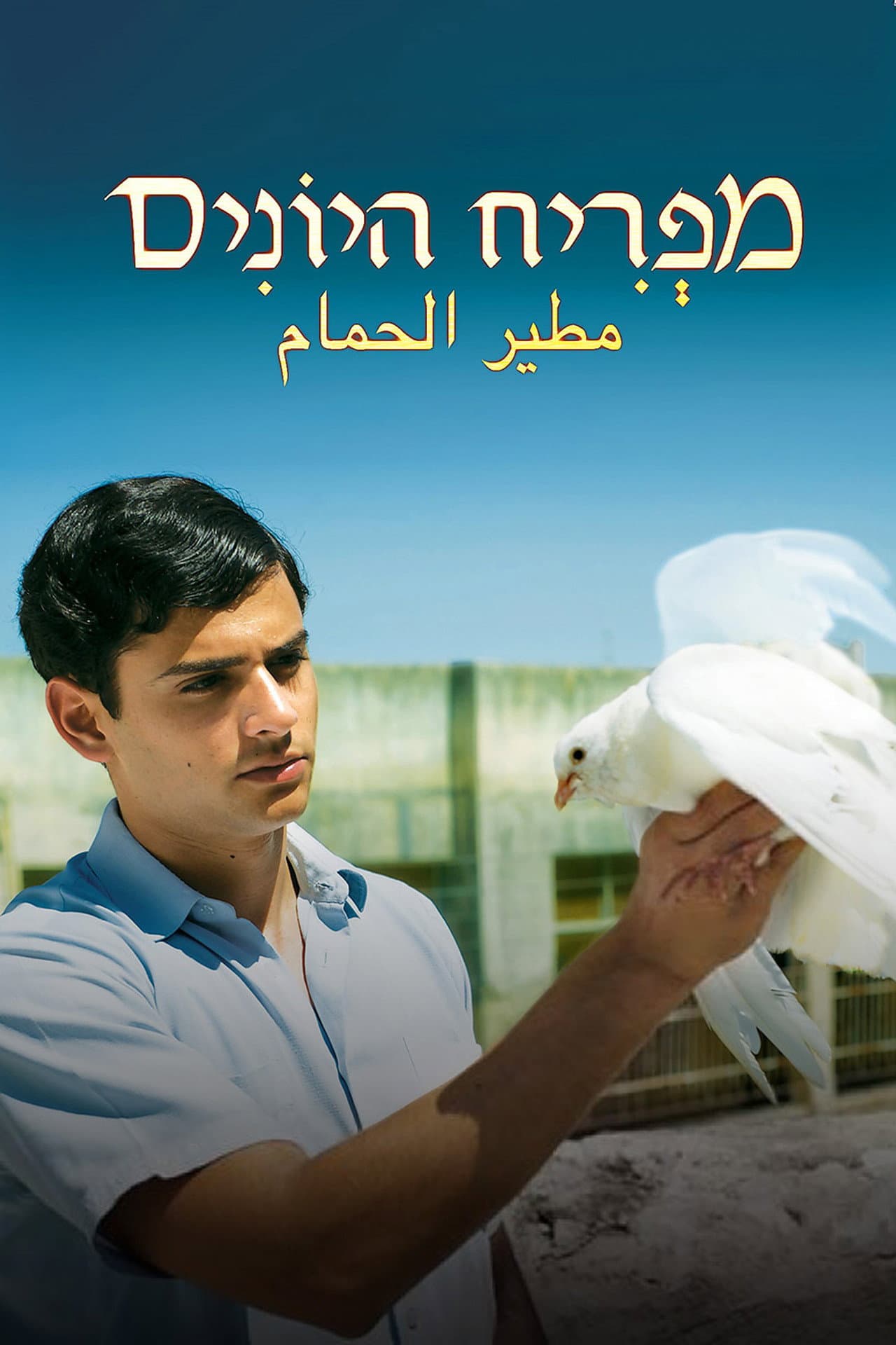 Farewell Baghdad preview 2