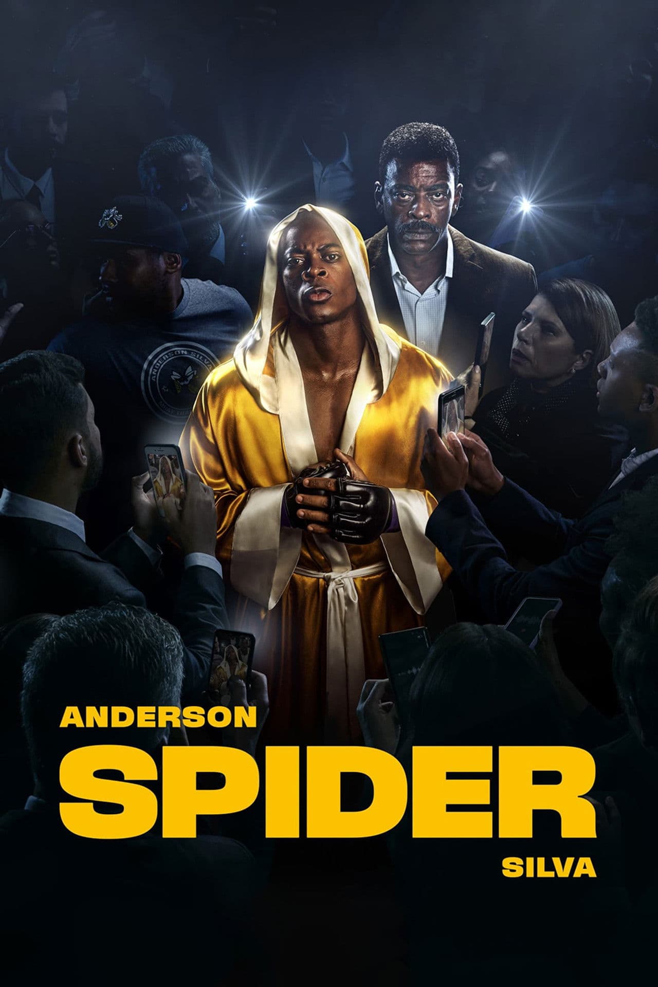 Anderson Spider Silva preview 2