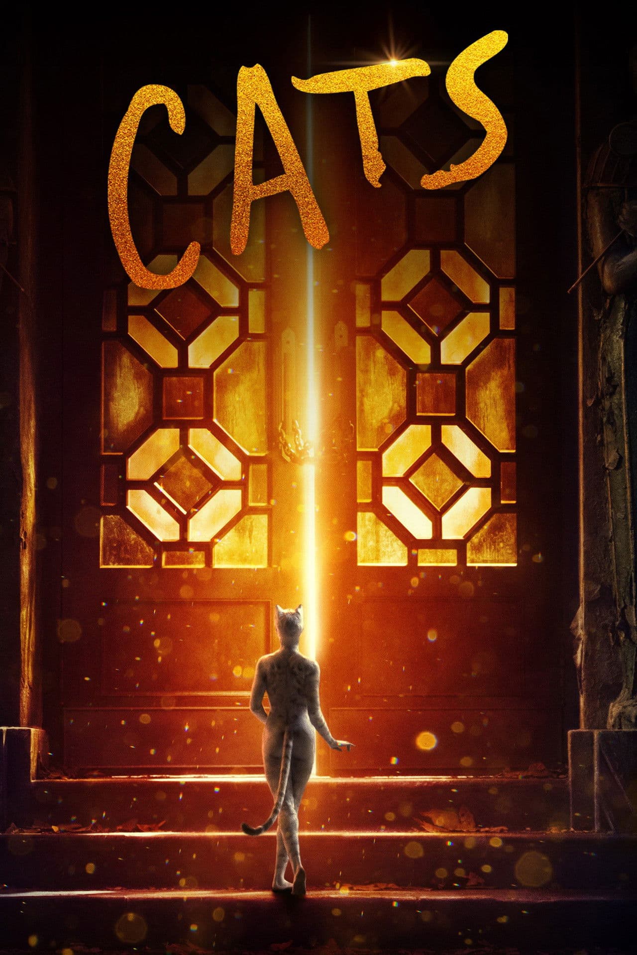 Cats preview 2