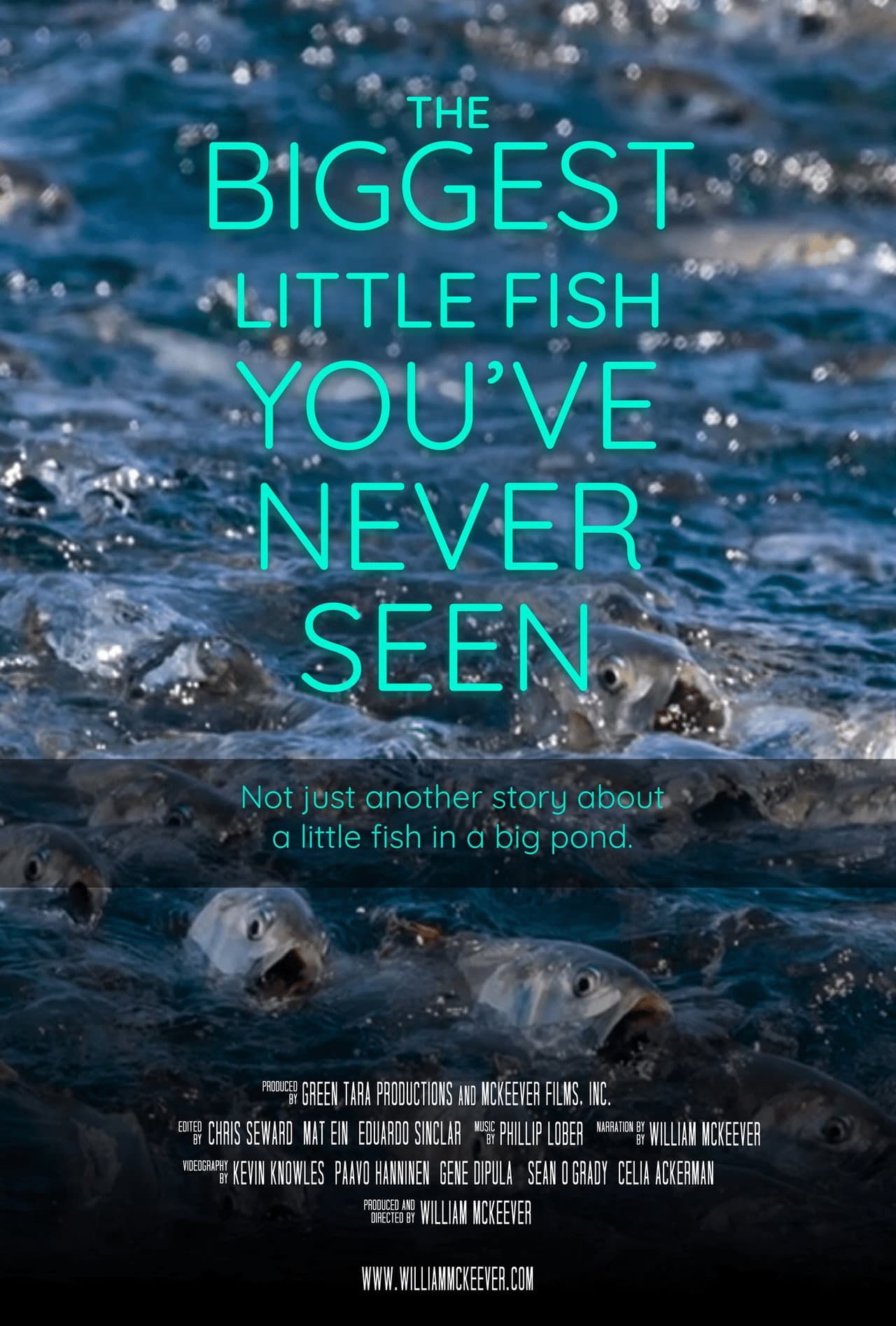 The Biggest Little Fish You've Never Seen preview 2
