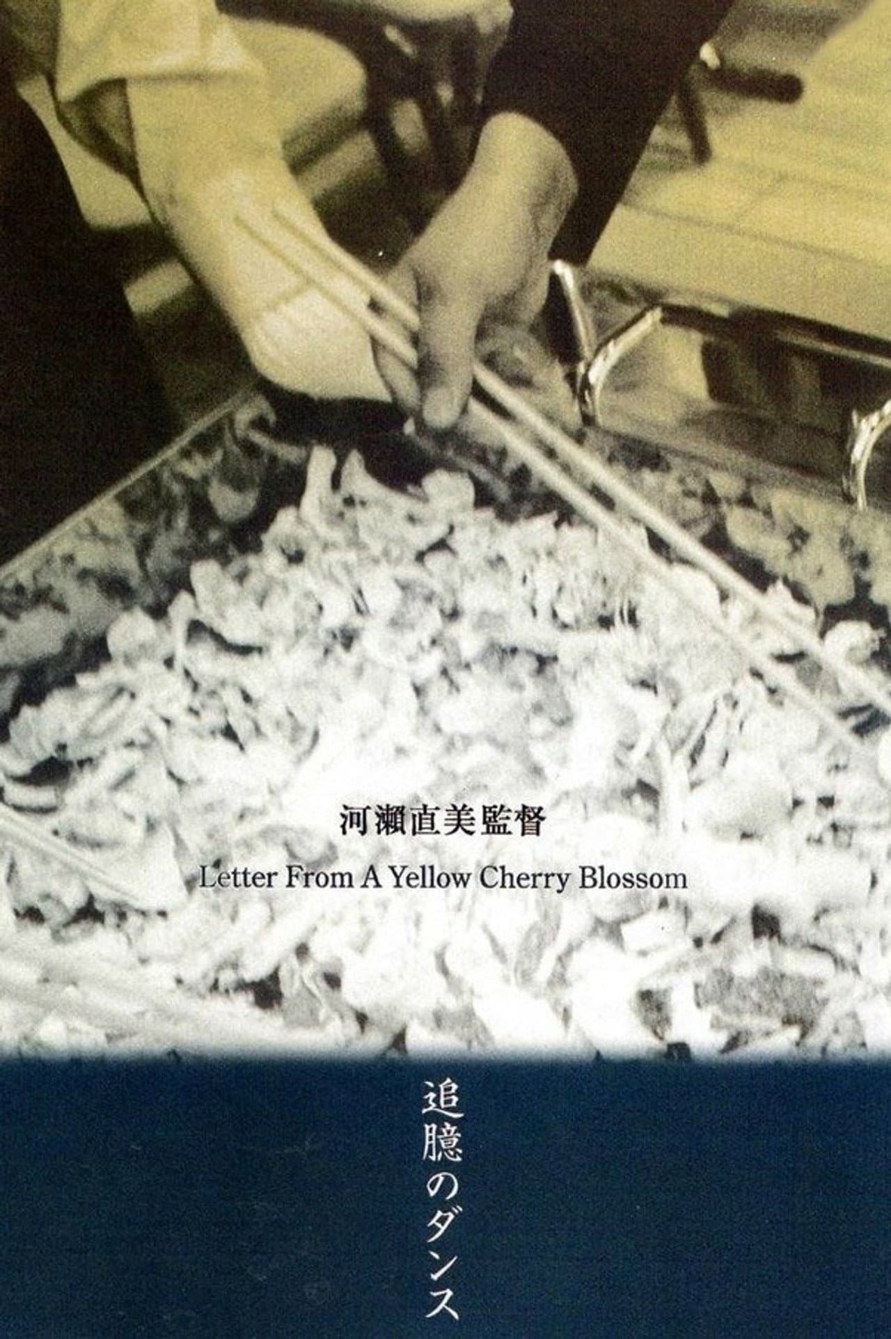 Letter from a Yellow Cherry Blossom preview 2