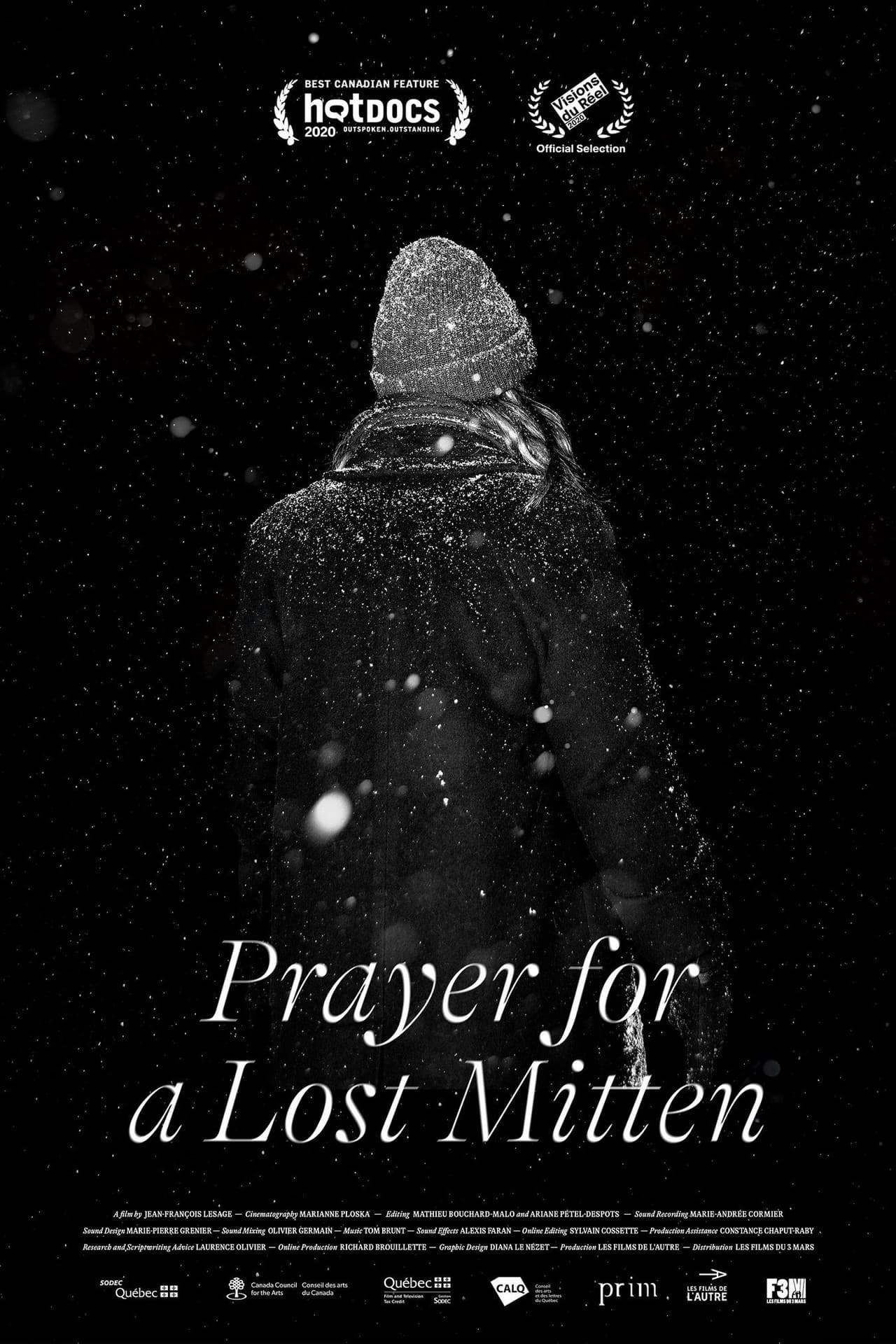 Prayer for a Lost Mitten preview 2