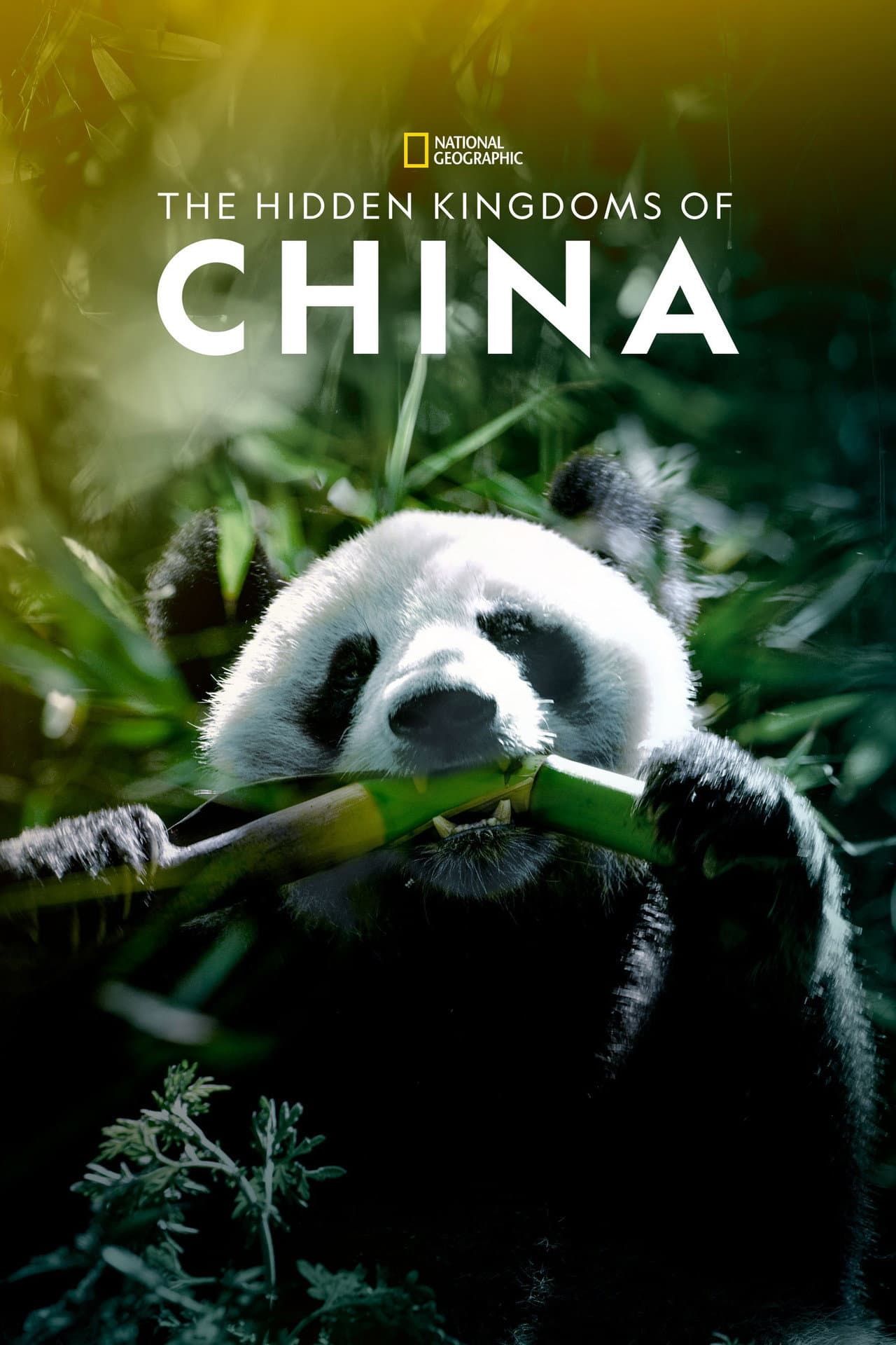 The Hidden Kingdoms of China preview 2