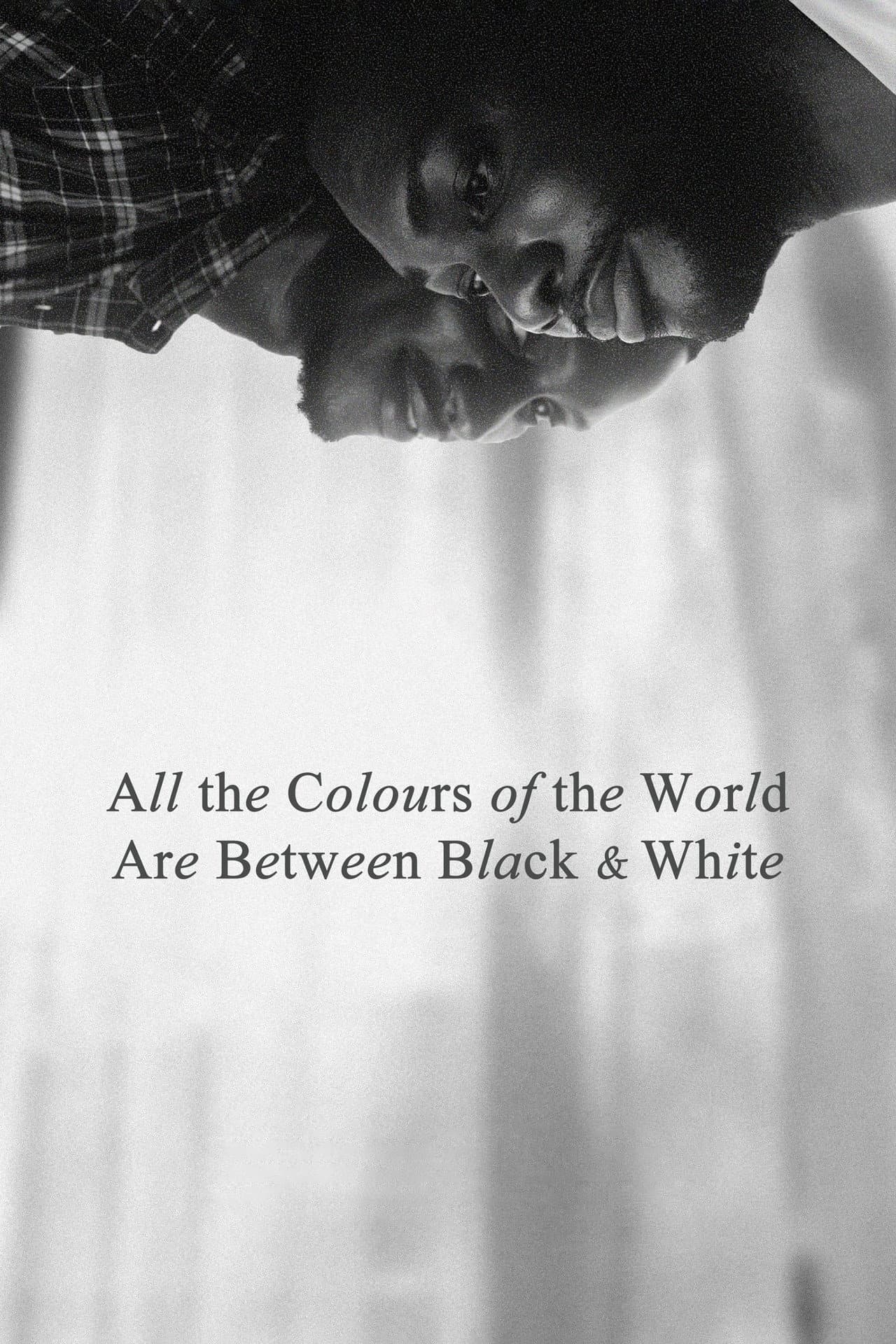 All the Colours of the World Are Between Black and White preview 2