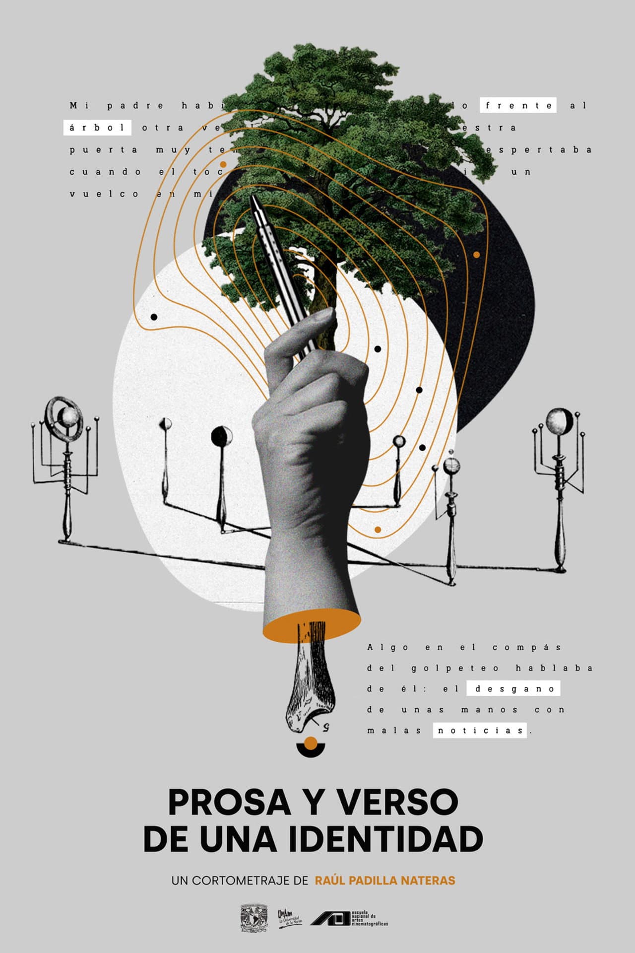 Prosa y verso de una identidad preview 2