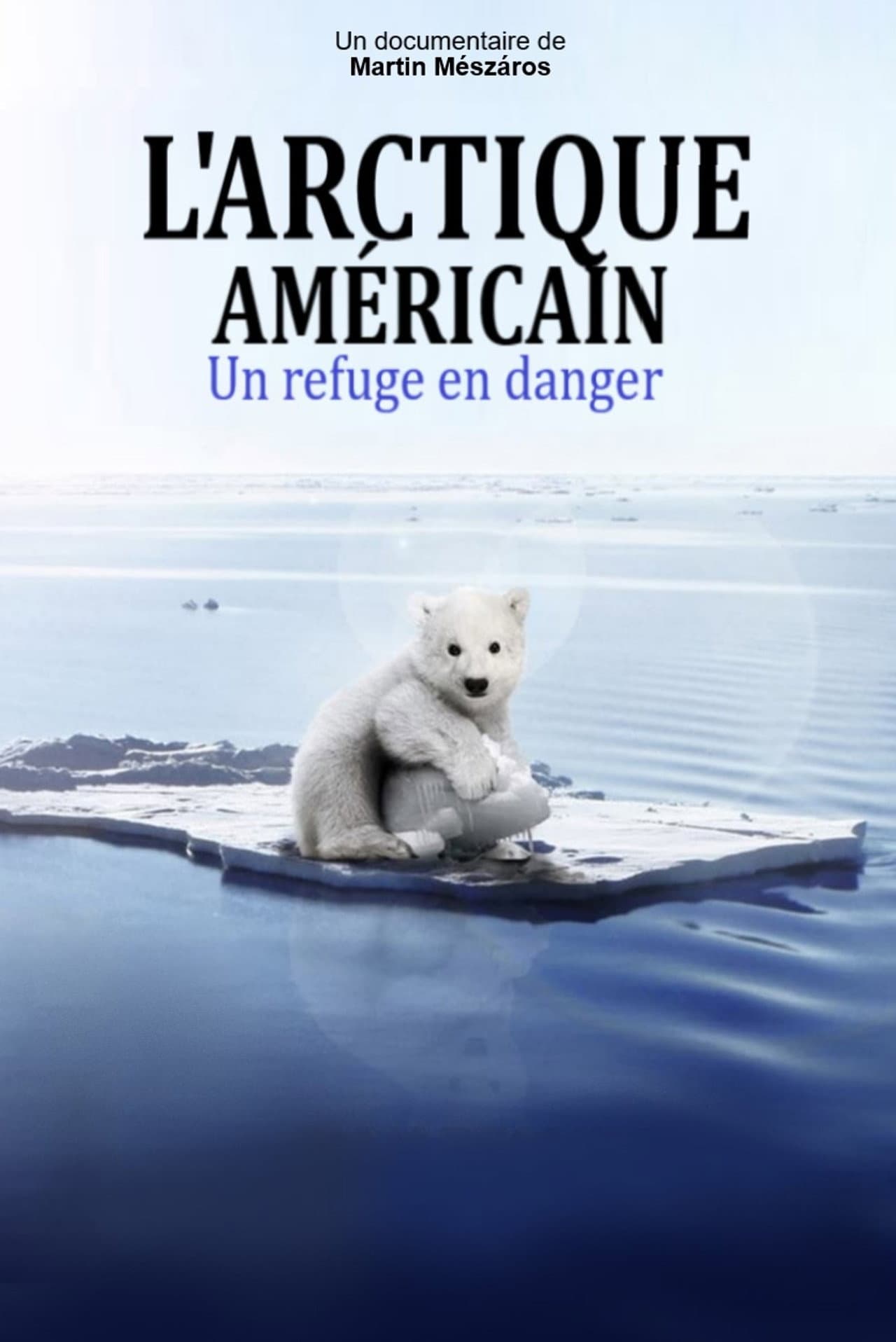 Arctic preview 1