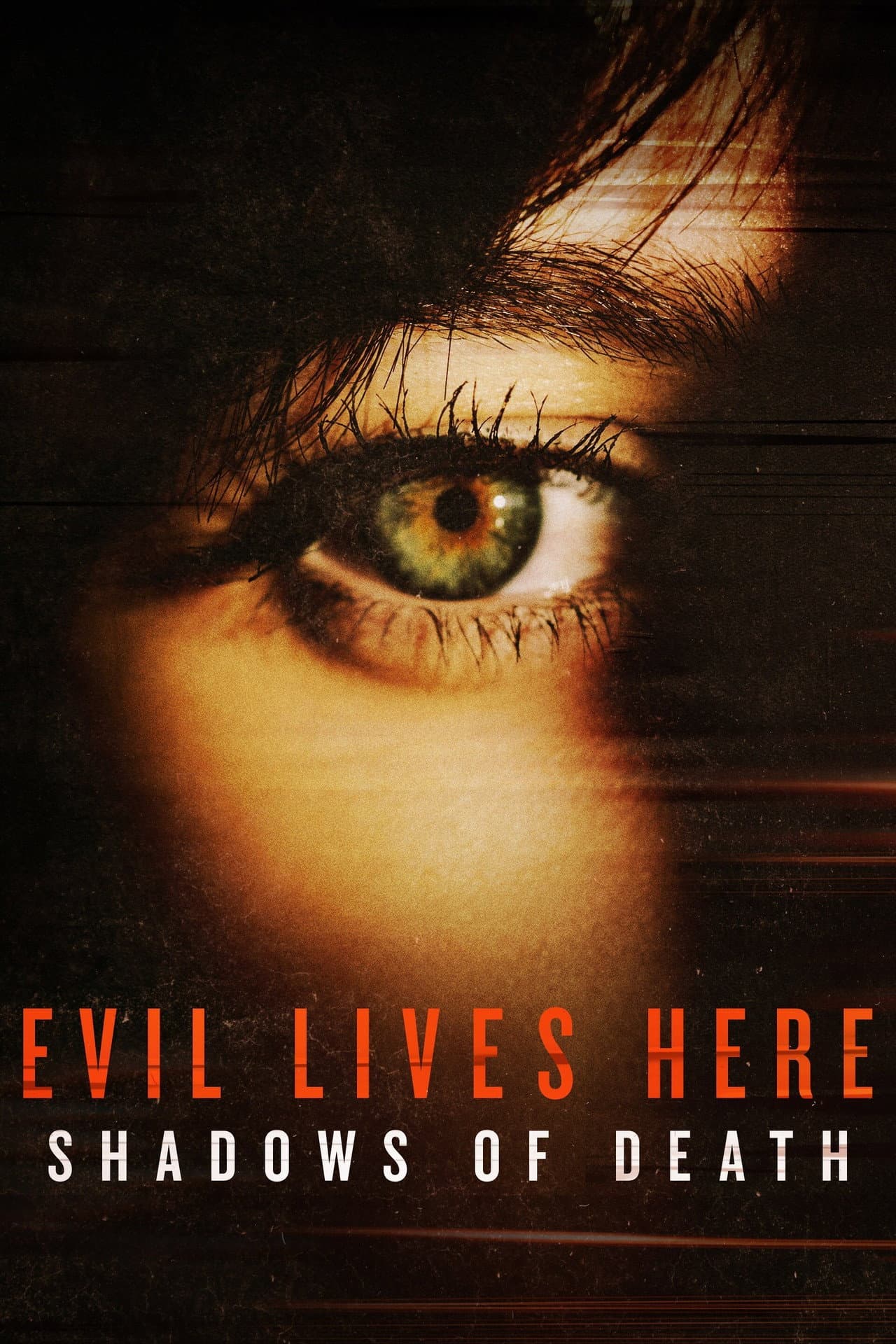 Evil Lives Here: Shadows of Death preview 2